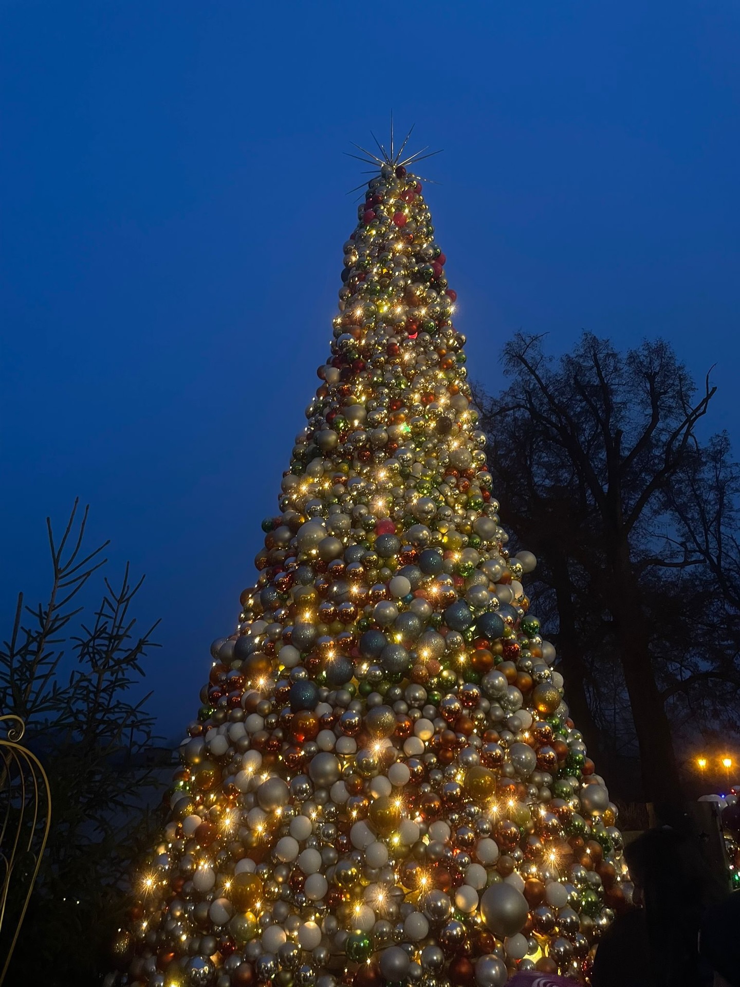 Naše klubová tradice a návštěva Vánočního domu . 🎄