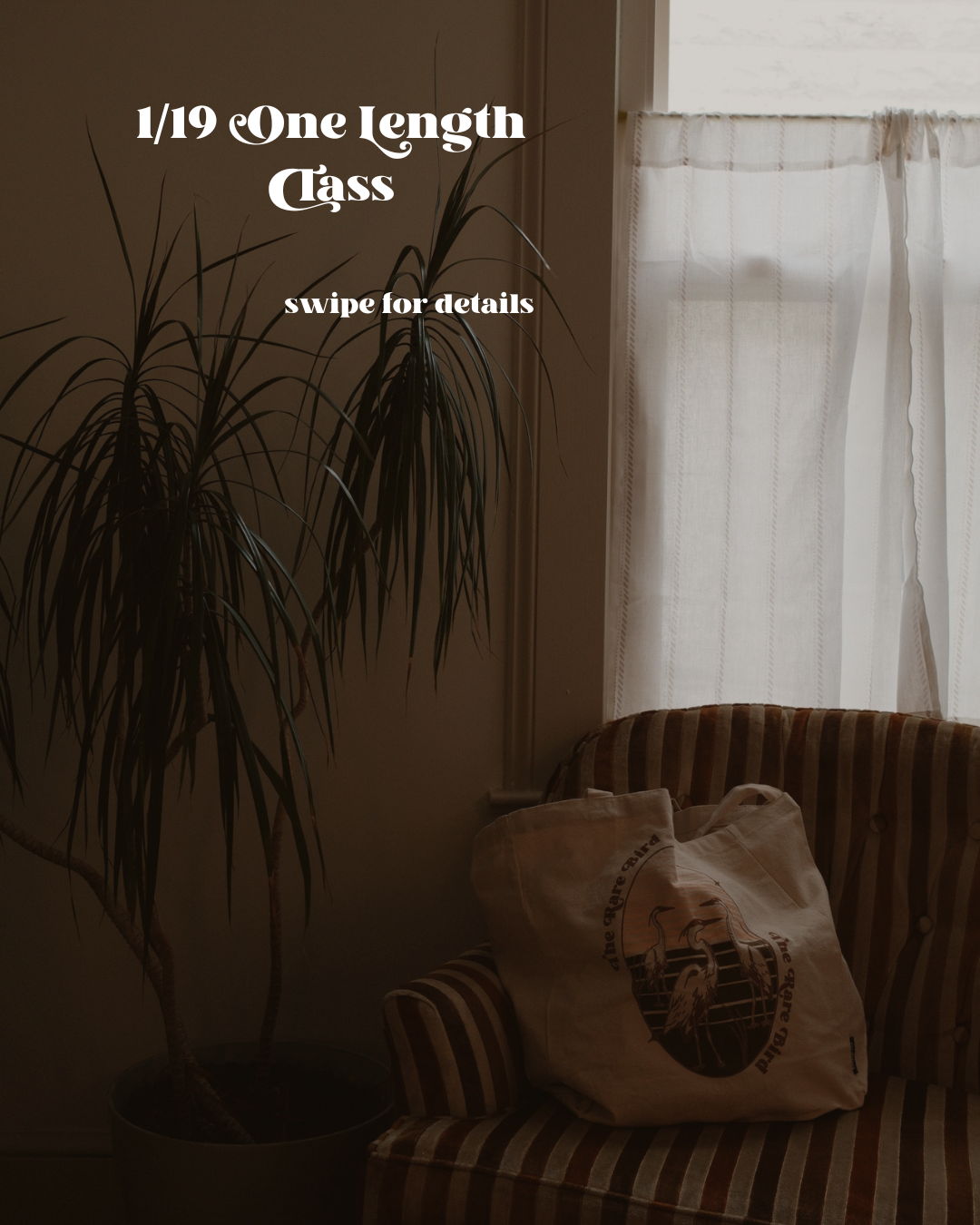 Ready to revisit foundations?
Join us on 1/19 to do a deep dive into classic one length haircuts.
Aside from a refresh in executing technique we will discuss:
-creating a visual stop in the silhouette that can add width or length to a client
-refining haircuts while dry, when to use what technique to create a sharp line
-styling tricks, let us show you how to create waves with a flat brush and a hairdryer
-revisit flat wrapping and rough drying to cut down on styling time or time spent with a flat iron.
You can find the link under Events in our bio link.
#dmv #dmvhair #dmvedu #hair #hairedu #hairsalon #haireducation #education #saloneducation #dmvhairstylist #explorealx #alexandriava