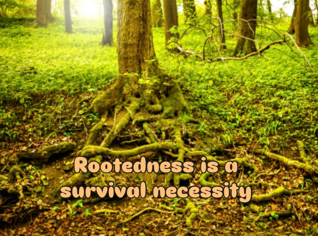 To be rooted is to be held.
To belong.
To return to something steady when everything else tilts.
Rootedness is the psychological equivalent of oxygen.
Without it, we drift.
With it, we endure.
Healing isnāt always dramatic. Sometimes itās simply the act of placing your hand on the bark of a tree and remembering that you belong to a world that has been offering you steadiness long before you knew you needed it.
Grateful for finding rootedness through reparenting & self compassion š