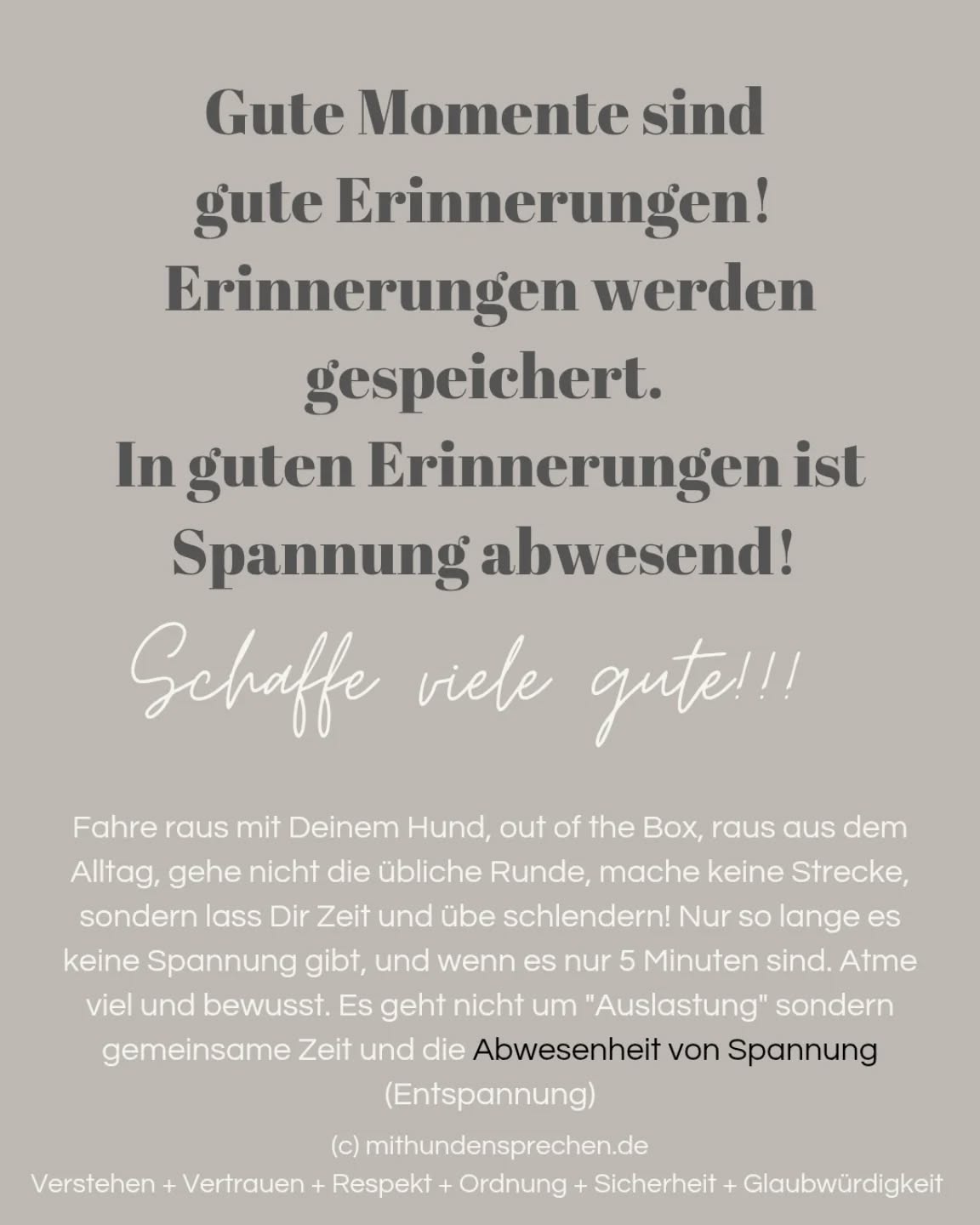 Das wichtigere Hundetraining!
#hundetraining #achtsamkeit #hunde #mithundensprechen #dogs