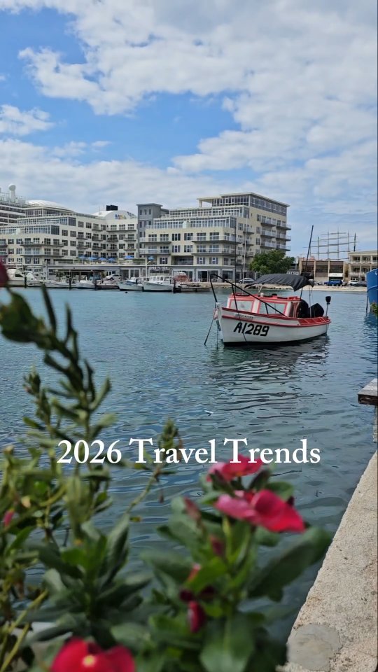 Comment ARUBA and I'll DM you a link to our full family-friendly itinerary!
Here's a quick overview! 👇
🏖️ Day 1: Travel + pool time
🌊 Day 2: Eagle Beach + grocery run
🐐 Day 3: Phillips Animal Garden + sunset photos
🚙 Day 4: Arikok National Park off-roading
🐠 Day 5: Submarine ride + shopping
🐟 Day 6: Rogers Beach + family feast
🎲 Day 7: Museums, shopping + game night
✨ Our secret for traveling with kits = exploring in the mornings, then slow afternoons, wrapping it up with evenings together either relaxing or a cozy game night.
This balance made Aruba magical with our preschoolers. We had adventure, relaxation, and loads of core memories together.
👉 Save this post for later, view the full itinerary on my blog & follow for family-friendly travel tips!
4ticketstotravel.com
#Aruba7DayItinerary #ThingsToDoInArubaWithKids #FamilyFriendlyAruba #ArubaWithToddlers #MultigenerationalTravel CaribbeanWithKids FamilyTravelInspiration FamilyVacationPlanning