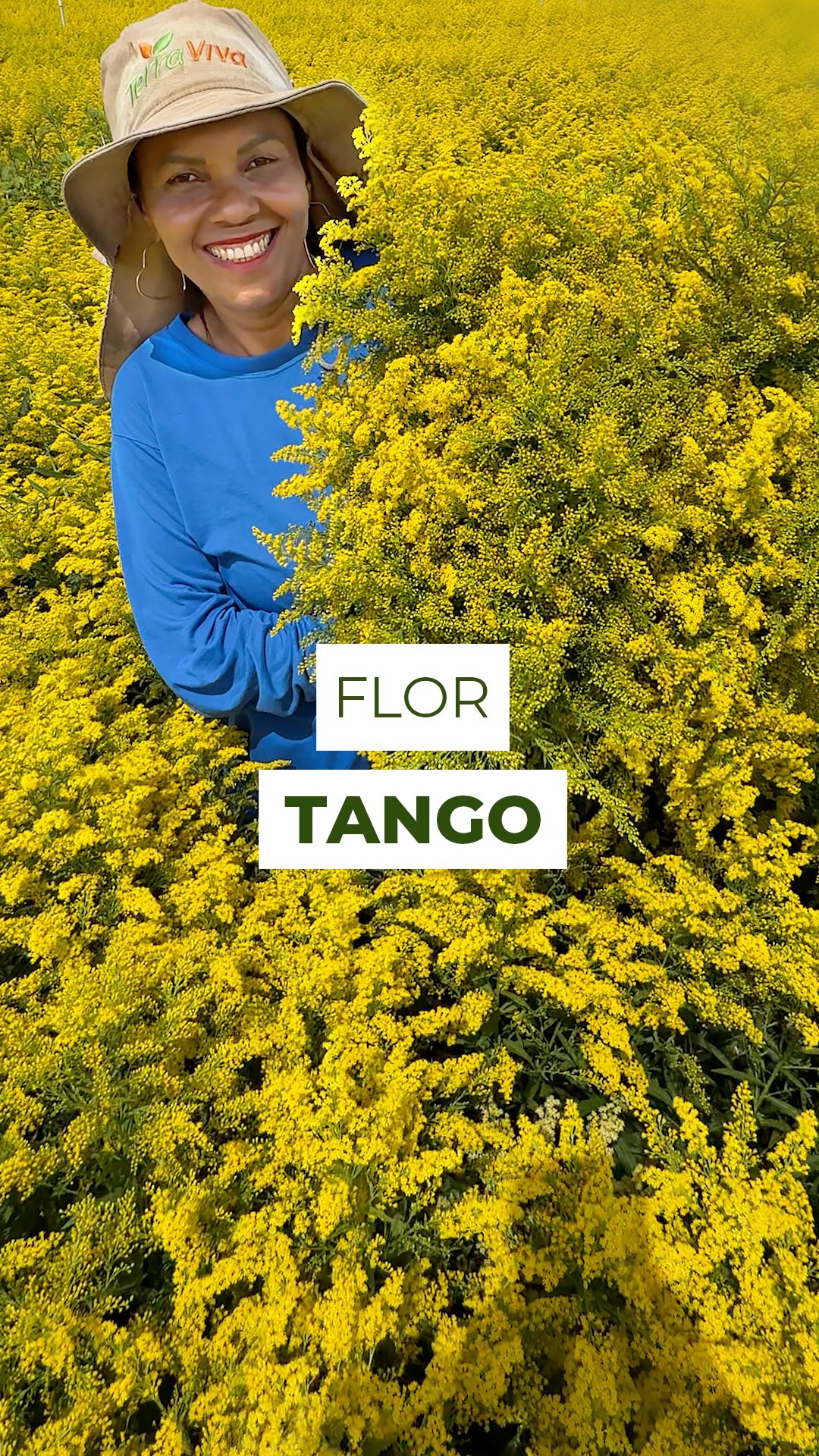 Mais de 1000 mini flores em uma única haste ✨💛
Conhecida como tango, cada ramificação carrega dezenas de microflorzinhas pequenas, mas poderosas, criando o volume perfeito que todo arranjo ama.
Essa flor ilumina, preenche e transforma qualquer composição.
Já viu o tango por ai?
Conta pra gente nos comentários 👇
#tango #solidago #solidagocanadensis #flores #floral