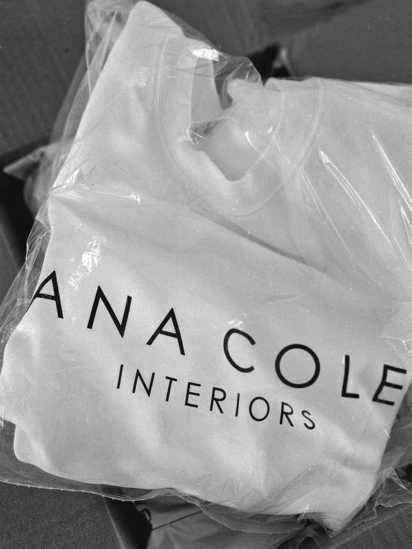 Gearing up for 2026...
#AnaColeInteriors #LondonOntario #InteriorDesign #LdnOnt