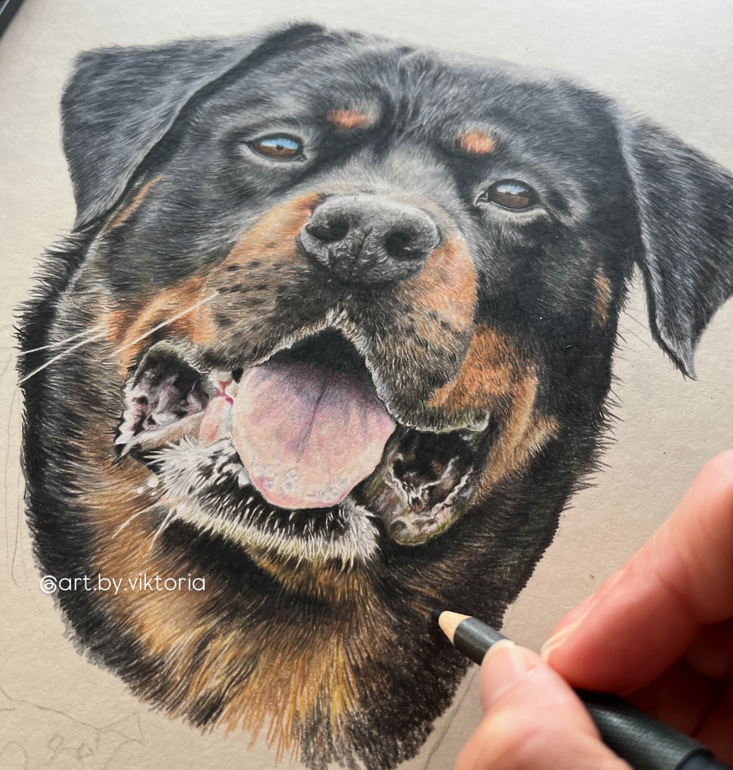 Endlich darf ich euch eine meiner Lieblingsarbeiten zeigen!🤩
#artbyviktoria #hundeportrait #rottweiler