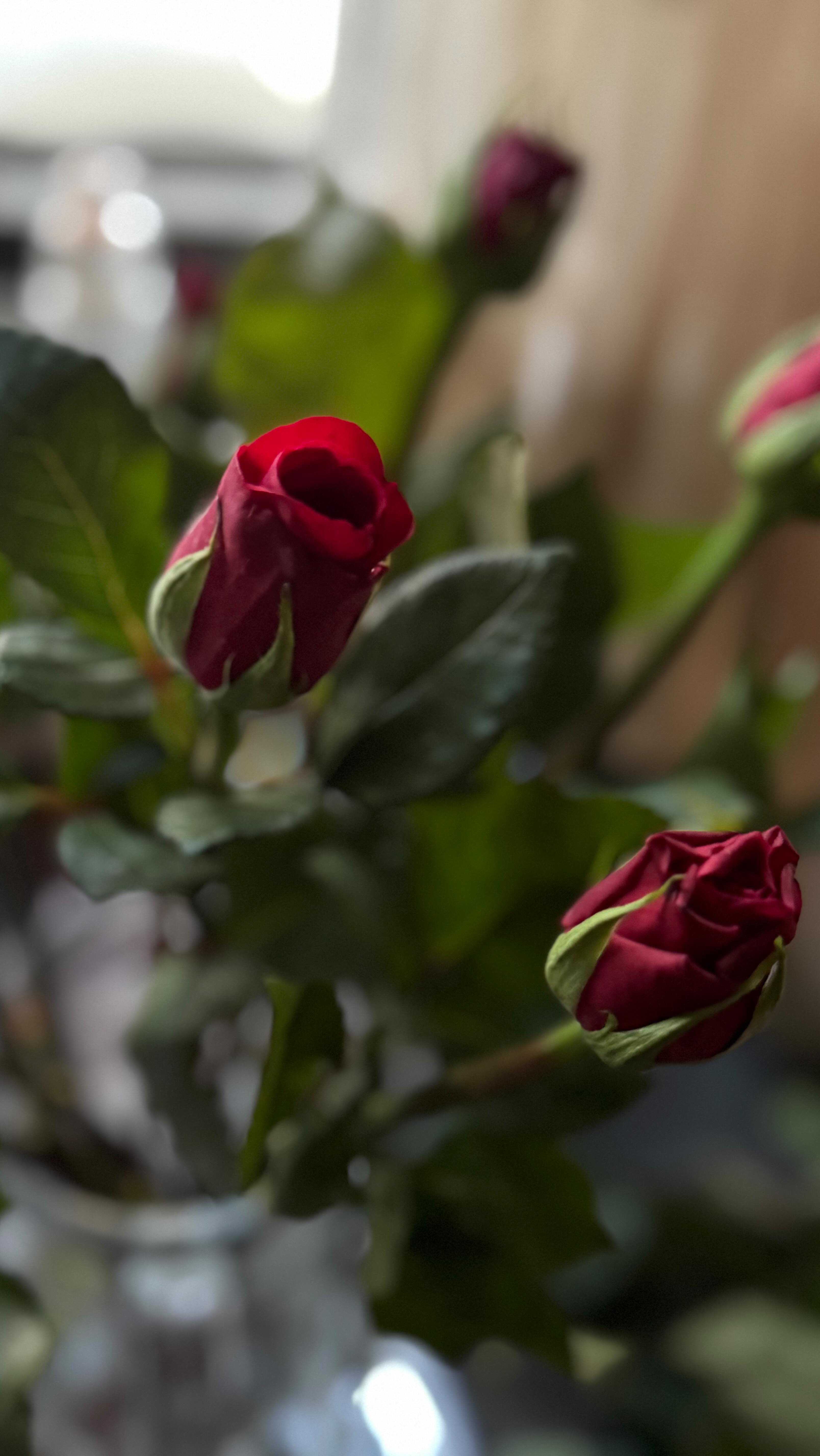 …because #diabetes affects my pancreas not my dress choice 🙄
Go live your life fully 🥳
Thank you for having me @ngoma_awards_2025
#livelifefully #diabetesawareness #ngomaawards2025