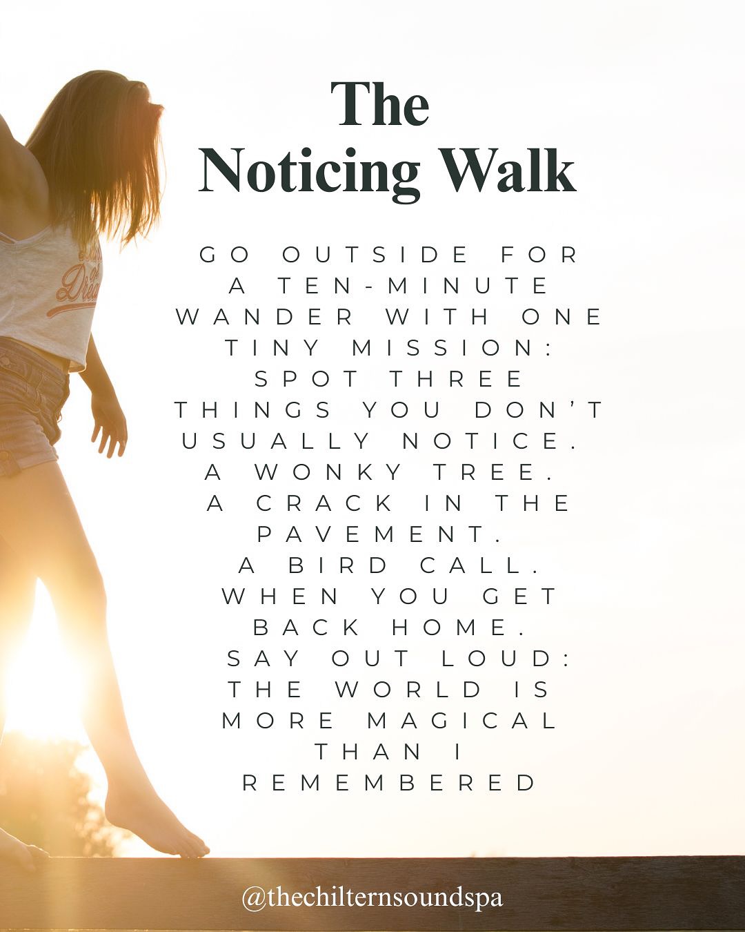 The power of slowing down and simply noticing 🐜🐞🌱🪶
#mindfulmoments