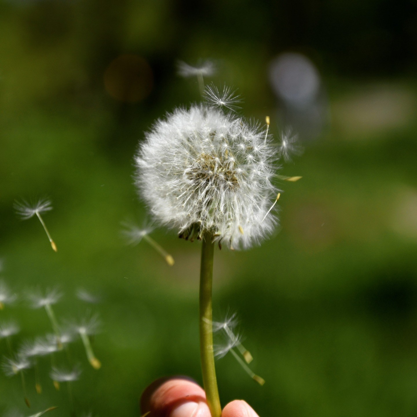 Marre de l'épuisement ? Marre des injonctions ? 🤯
Si vous pensez que la seule voie vers la réussite est la croissance permanente ("faire toujours plus"), cet article est pour vous. 🤗
J’entends souvent des messages qui me choquent. Ils ne correspondent pas à mes valeurs, et pourtant, de nombreux entrepreneurs les acceptent comme des vérités absolues, sans oser les remettre en question.
🚨 Attention, festival de "Yakafokon" à venir :
👉 "Il faut que je fasse plus de chiffre d'affaires que l'an dernier."
👉 "Je ne peux pas m'autoriser à ralentir avant d'avoir atteint mon chiffre."
👉 "Si je ne réponds pas tout de suite, le client ira voir ailleurs."
👉 "Un entrepreneur ne s'arrête jamais, c'est du 24/7."
Mais à quel coût ? Pour votre santé, pour votre charge mentale, pour votre vie personnelle ? 🤔
Entreprendre ne devrait pas être un sacrifice de soi.
Je partage dans mon dernier article de blog mes conseils pour entreprendre sans s'épuiser.
J'y parle de :
1️⃣ La Règle des 3 pour ne plus être submergé.
2️⃣ L'art de poser des limites pour protéger sa santé mentale et physique.
3️⃣ L'anticipation stratégique : préparer les crises quand tout va bien (et non quand on a la tête sous l'eau !).
Si votre business exige que vous y laissiez votre santé, c'est votre business model qu'il faut revoir, pas votre résistance au stress.
👉 Lien de l'article en commentaire
Vous ressentez le besoin de reprendre de l'espace dans votre vie ?
➡️ Envoyez-moi un MP pour un 1er échange gratuit et sans engagement.
#Slowpreneur #Entrepreneuriat #Limites #premierpas #jefaismonpremierpas #coaching #entreprendresanssepuiser #vignoblenantais #lorouxbottereau #vallet #entrepreneur44 #santementale