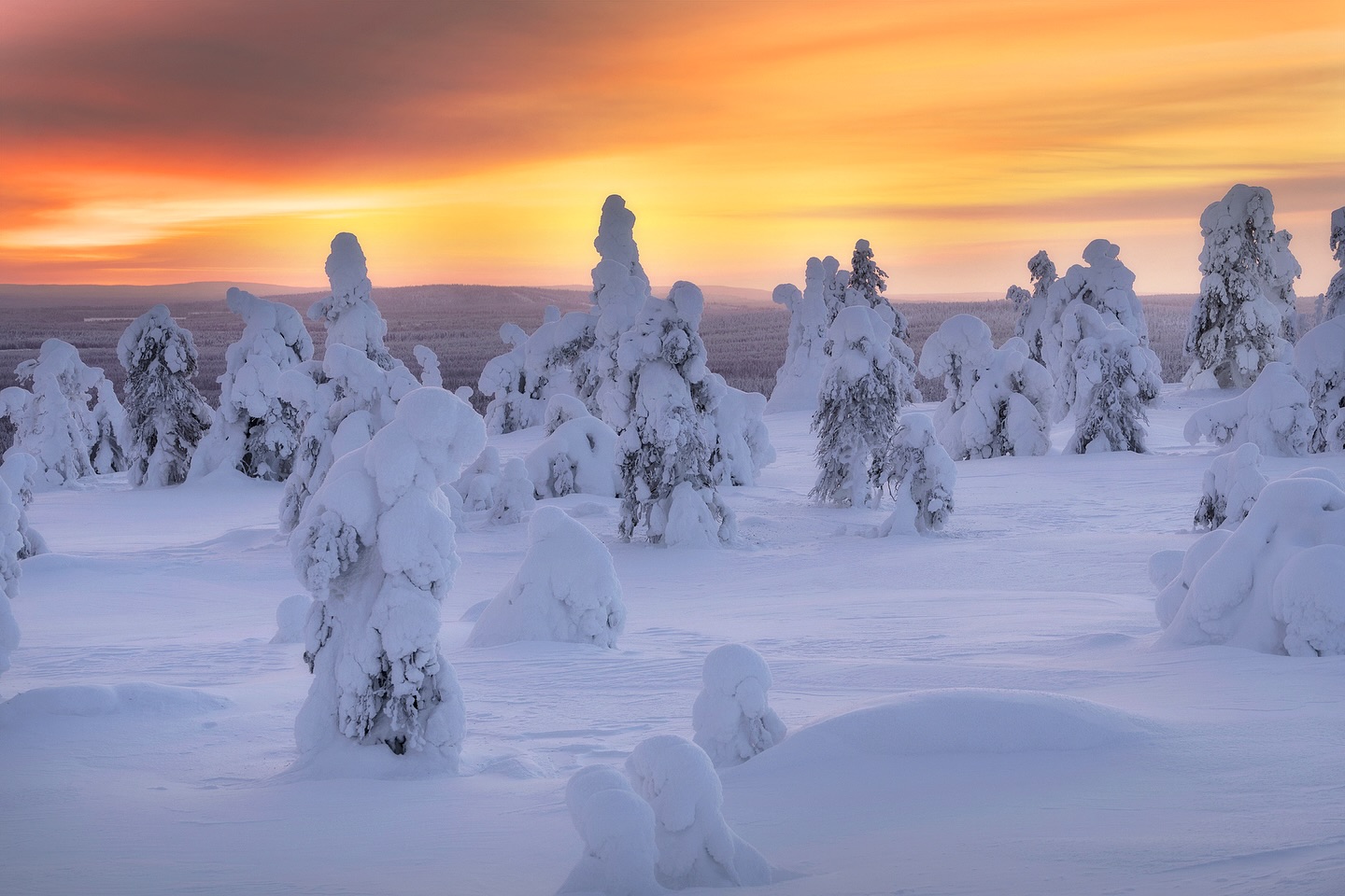 *
Finland – Winter on Fire 🇫🇮
The sky seemed to burn as the sun dipped low, setting the horizon ablaze with warm colors. Below, snow-covered trees stood frozen in silence, shaped by wind and winter. A striking contrast between fire in the sky and deep calm on the ground — one of those moments that make Nordic winters so special.
EXIF: 121mm · f/8 · 1/15 sec · ISO 64 · Sony Alpha 7 III · 70–200mm f/4
#finland #winterlight #nordiclandscape #landscapephotography #bevisualinspired