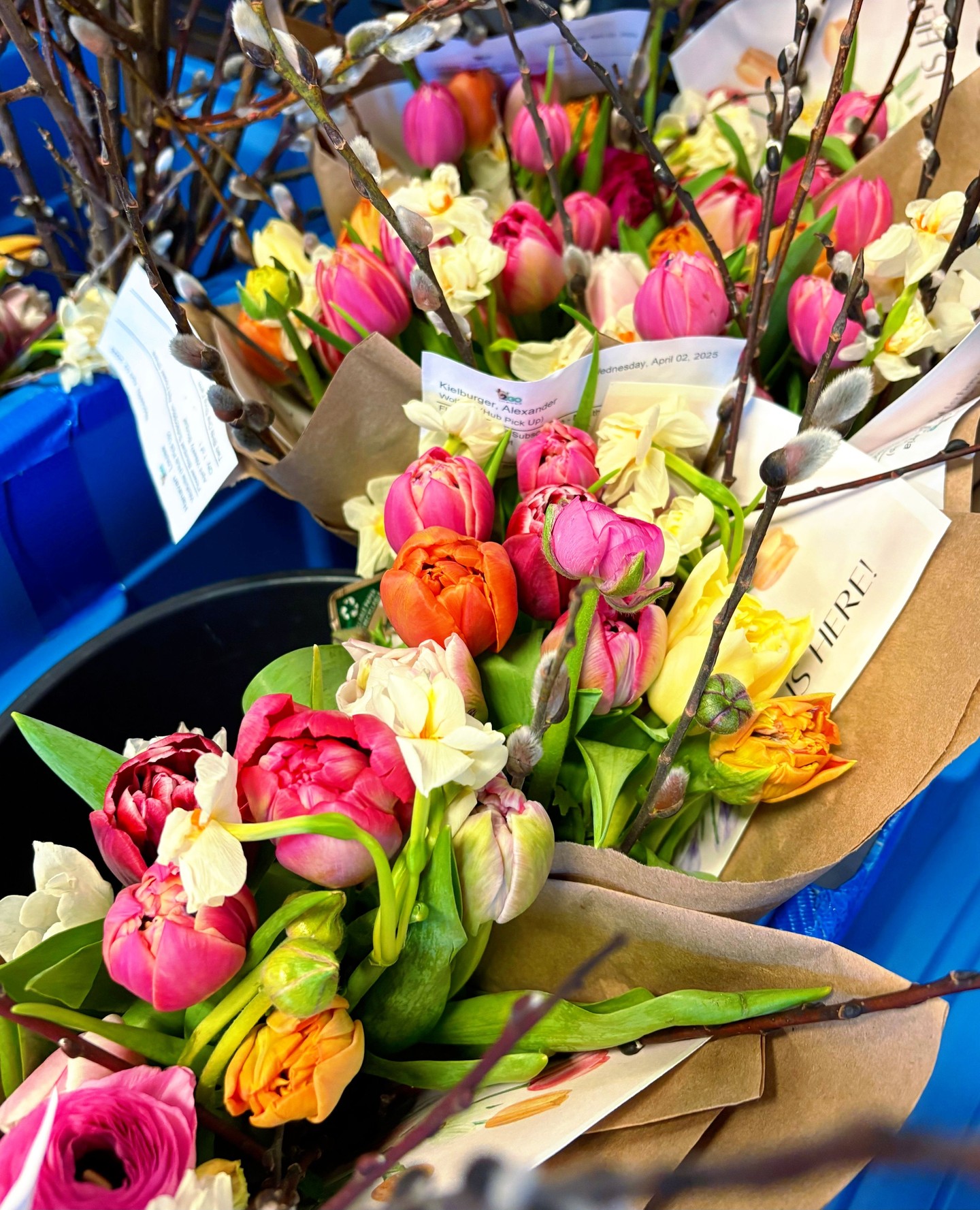 Today is our final delivery day for 2025! We want to thank all of the WFM2Go community for a great year of supporting local farmers and businesses! We'll be back for delivery on Jan. 7th.â
â
Happy Holidays!â
â
#wolfvillefarmersmarket #wolfville #annapolisvalley #novascotia #farmersmarket #wfm2go #shoplocal #eatlocal #buylocal #supportlocal #freshproduce #community #letsdothis