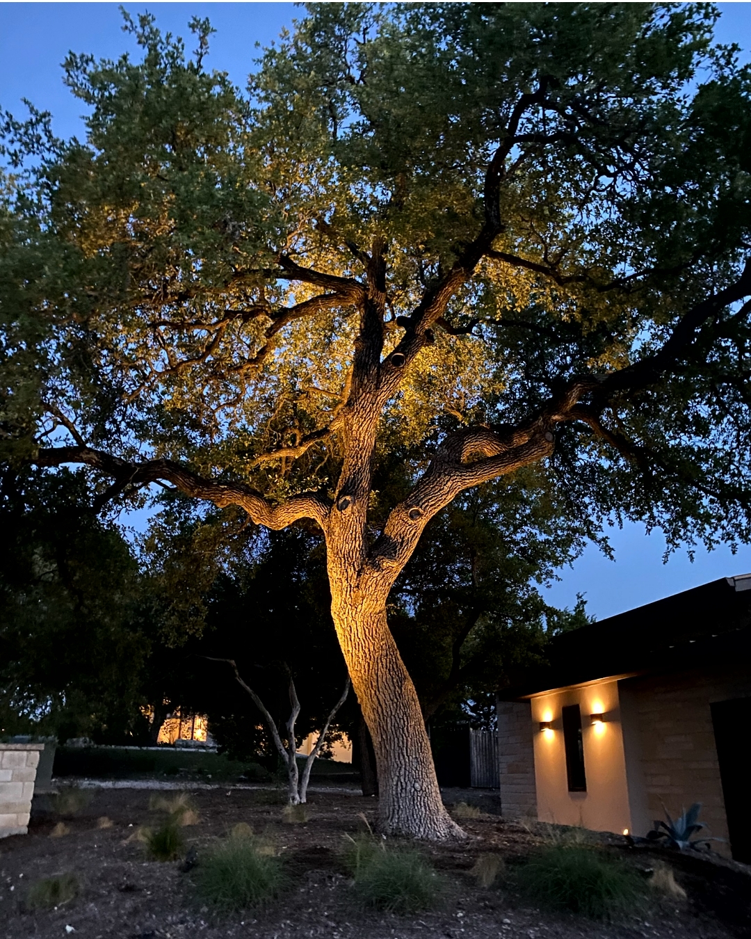 Not your average holiday sparkle. ✨
Seasonal warmth, thoughtfully placed.