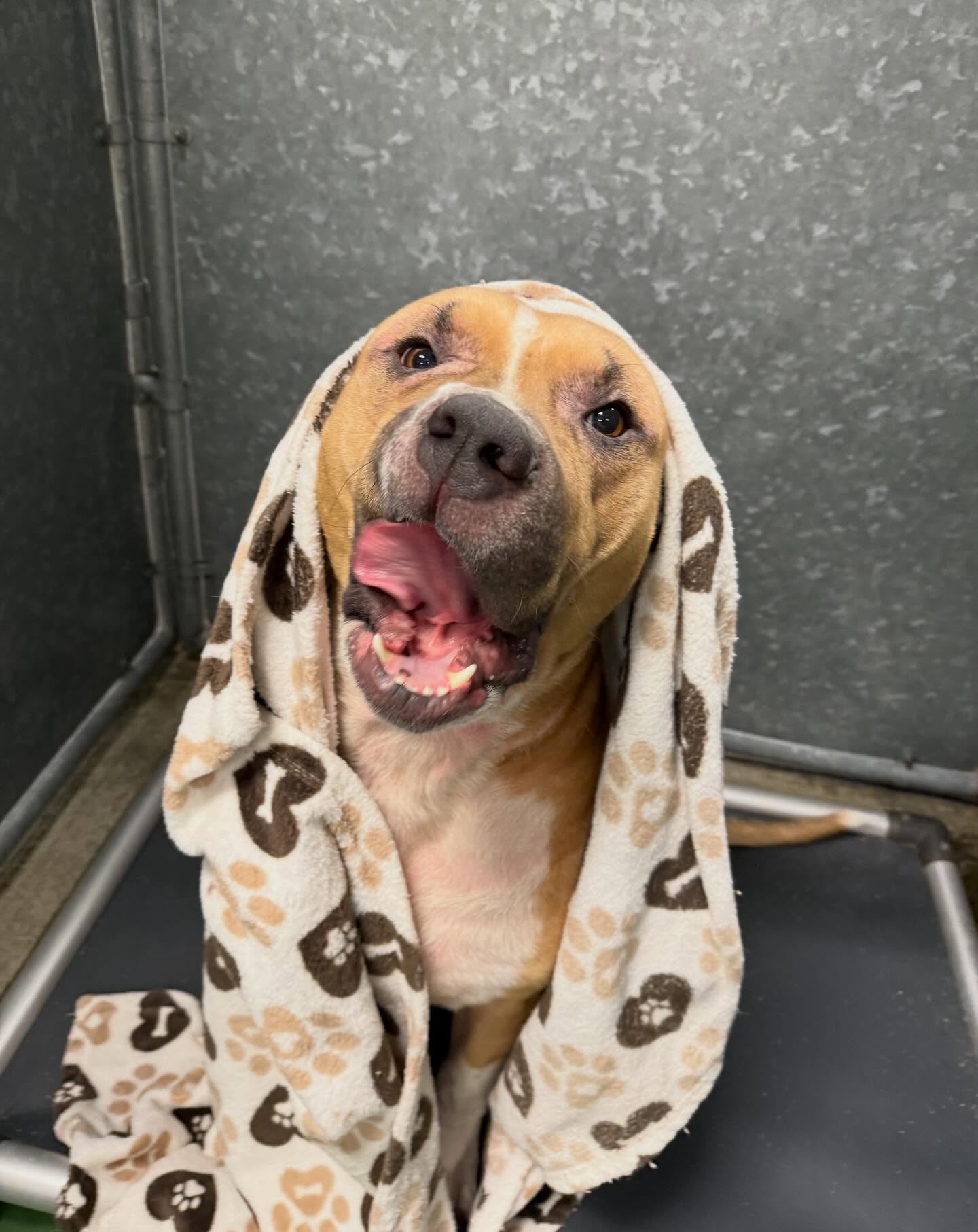 Stay safe and toasty out there friends!! ❄️