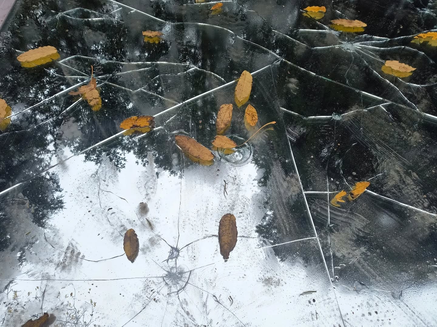 Memorial to Auschwitz Victims
Amsterdam, 9/12/25
-
Jan Wolkers (1977)
-