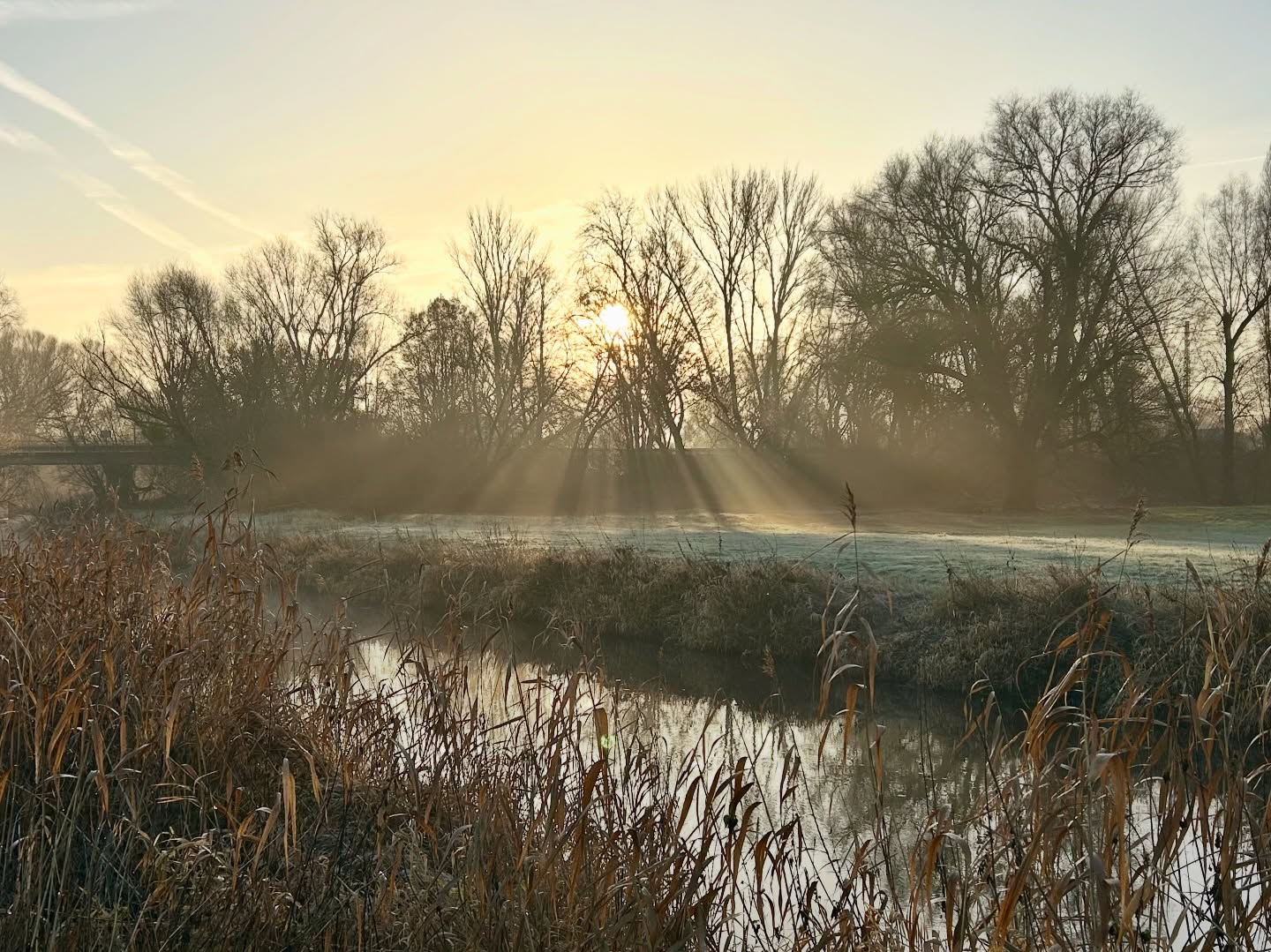 Tolles Licht am Morgen… frostig und nebelig und einfach schön. 😍
#beautifulmorning #beautifulmorninglight #morgenlicht #nebelammorgen #zartefarben #pastelcolors #wintercolours #ohwieschönistbrandenburg #prignitz #prignitzliebe #prignitzfotografie #stepenitz #brandenburgistschön #nebelwiesen #beautifulscenery #beautifullandscape #softcolors #morningmist #wittenberge #sunrays☀️ #rohrkolben