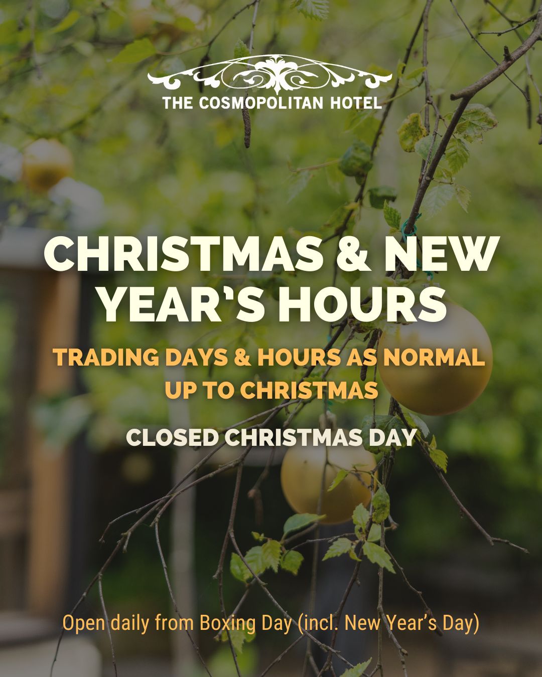 Open as usual in the lead up to Christmas for a quick round, a meal, gift vouchers and wine to go.
*Closed Xmas Day & NYE night (bar closes at 5pm).
.
.
.
.
#trentham #hepburnshire #daylesfordmacedonlife #macedonranges #cosmotrentham #thecosmopolitanhotel #onehourout #onehouroutofmelbourne #melbournefoodie #daylesfordmacedonlife #macedonrangeswine #countryvictoria #regionalvictoria #visitmacedonranges #visitvictoria #christmasholidays #summerholidays