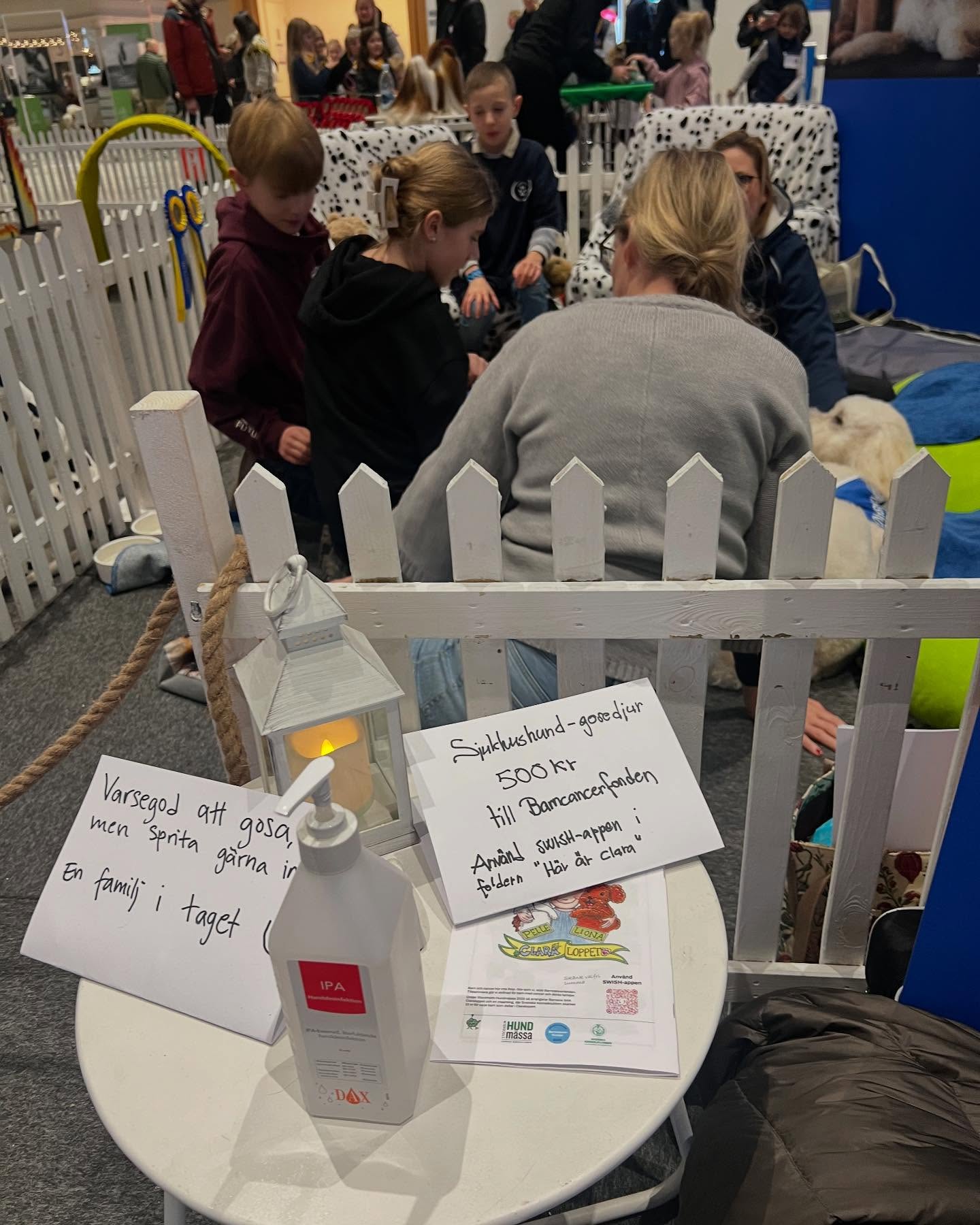 Sjukhushund, Clara-loppet, Barncancerfonden, Hundmässan💕🐕 #sjukhushund #clara #loppet #barncancerfonden #hundmässan #skk