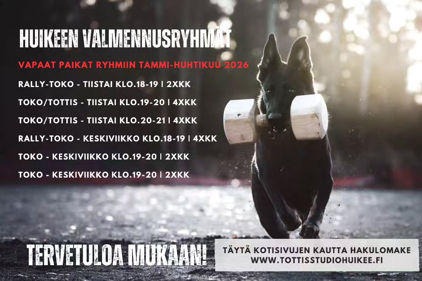 Vapaat paikat HuiKeen valmennusryhmiin 2026 ⭐️
Muutamia vapaita paikkoja valmennusryhmiin kaudelle 2026 tammi-huhtikuu!
📍 Nappaa paikkasi täyttämällä hakulomake kotisivujemme kautta
www.tottisstudiohuikee.fi
#tottisstudiohuikee #koirahalliKuopio #koirakoulukuopio