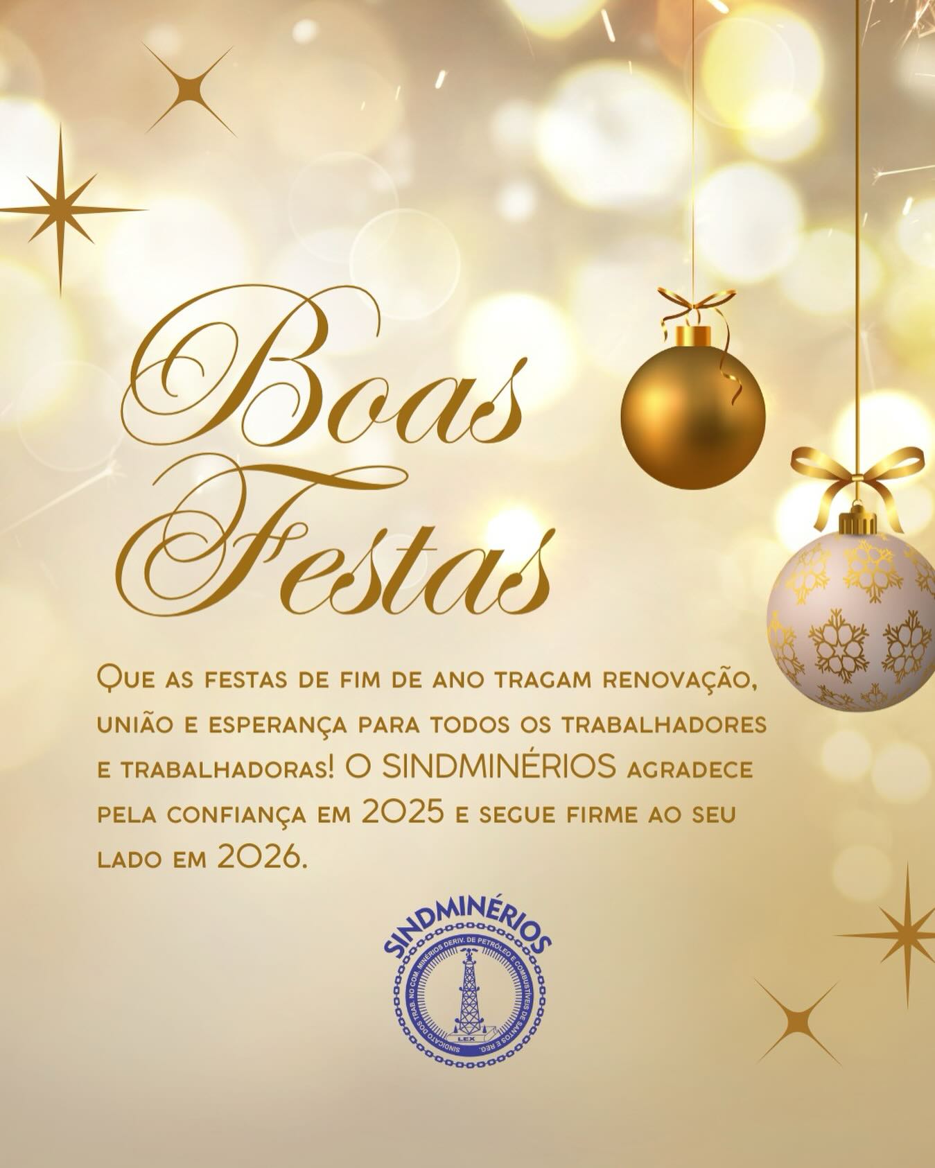 ✨ Encerramos 2025 com gratidão e renovamos nossas forças para continuar lutando por você em 2026!
Que neste fim de ano não falte união, esperança e reconhecimento a cada trabalhador e trabalhadora do nosso setor. Boas festas!
Conte com o SINDMINÉRIOS hoje e sempre!