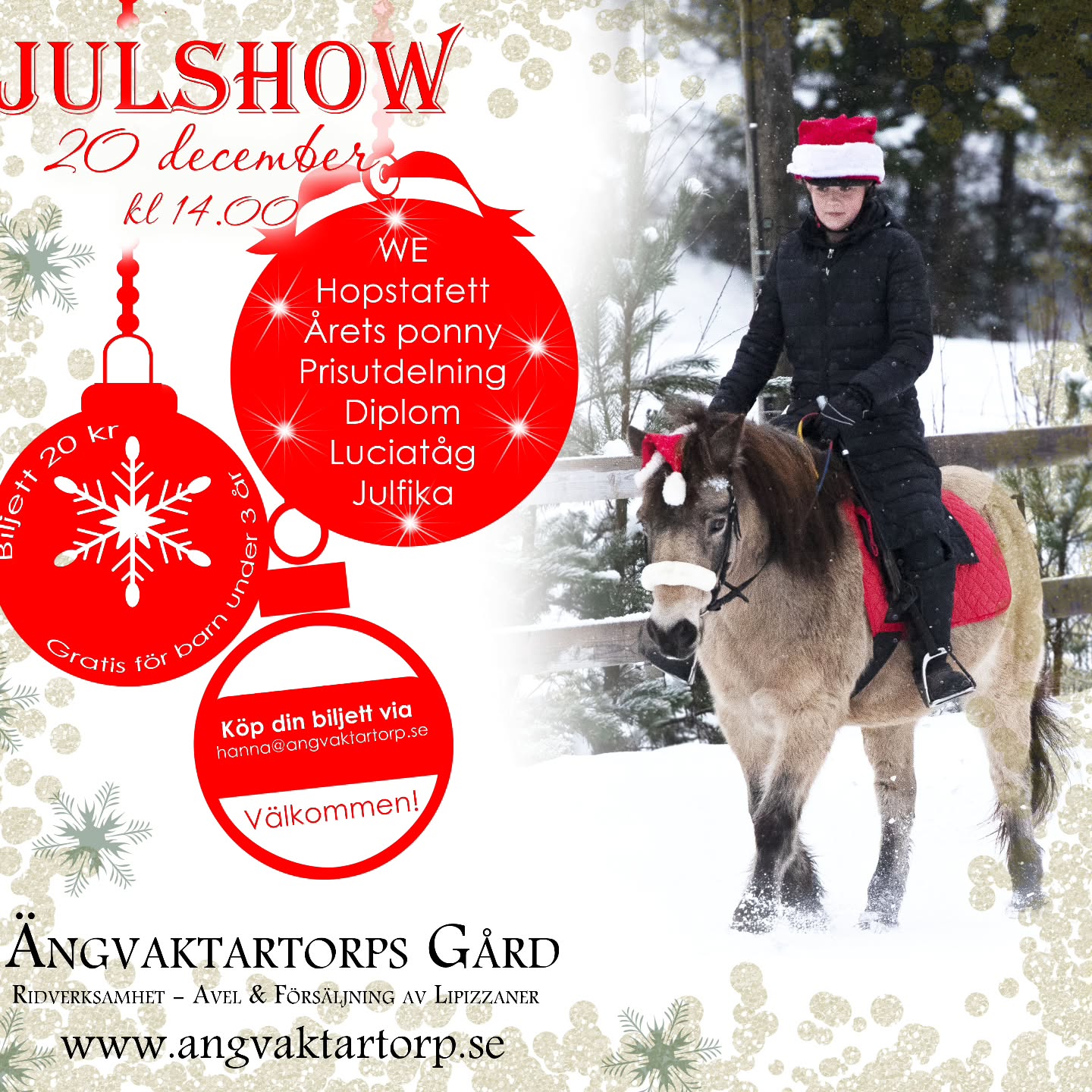 Nu är det snart dags!
🎅Lördag 20 december kl 14.00 har vi vår årliga julshow för åttonde året i rad.
Med julshowen vill vi sprida glädje och värme i vintern, vi vill inspirera och motivera våra elever med familj och alla andra som är nyfikna på verksamheten på Ängvaktartorp!
Julshowen blir en festlig dag för alla som ridit på Ängvaktartorp under året, så vi hoppas att ni alla vill komma och dela den dagen med oss!
Det är på julshowen vi har prisutdelning för alla Halloweenhoppning-utmärkelser, delar ut pris för bästa samspel under dressyrprogramridningen och lottar fram den av de ryttare som deltagit i båda tävlingarna, den som ska få vinna ett presentkort på privatlektion. Vi delar också ut diplom till alla som ridit på Hästskolan under höstterminen. Vi utser Årets ponny och Årets häst!
Vi har hört det ryktas att en tomte och en minihäst minglar och delar ut något litet till alla barn under fikat efter showen. 🐴
💰Biljettpris: 20kr
Gratis för barn under 3 år.
🎫Boka din biljett via mail hanna@angvaktartorp.se
🫖Vi kommer ha försäljning av glögg, varm choklad, pepparkakor och annat gott!
Varmt välkommen!🎄