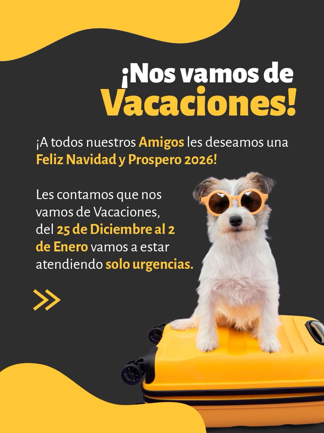 🎄🐾 Esta Navidad queremos agradecerles por ser parte de la familia PharmaZoo 💚
Les deseamos unas fiestas llenas de amor y bienestar para ustedes y sus peluditos ✨
📅 Nos vamos de vacaciones del 25 al 2, así que recuerden hacer su pedido de huesitos con anticipación 🦴🎁
#PetLoversColombia
#MascotasColombia
#PerrosColombia
#PetCareColombia