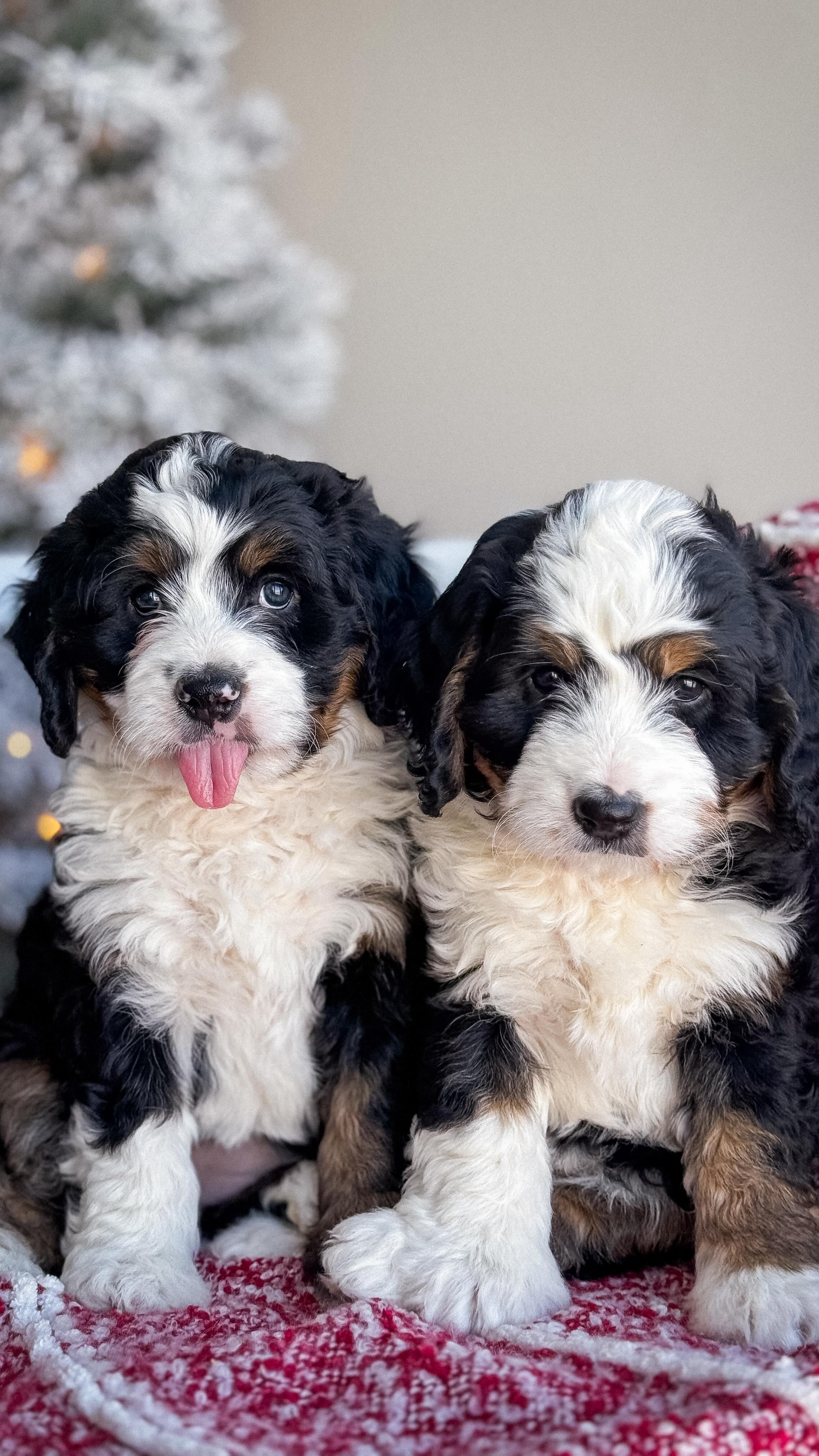 No thoughts. Just ๐