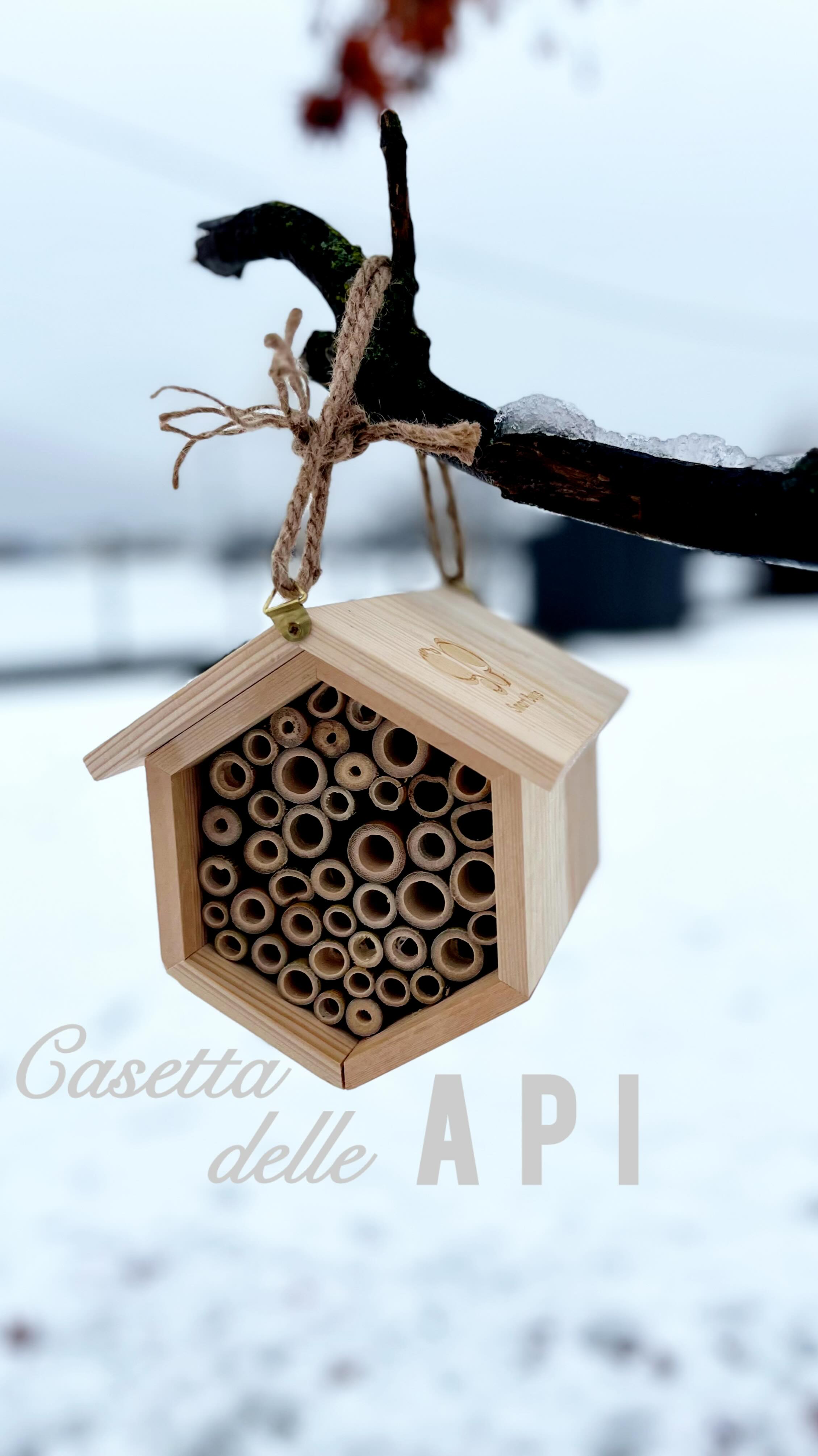 Un regalo diverso dal solito da mettere sotto l’albero 🎄
La casetta per le api solitarie di @smartbugs2.0 : un piccolo gesto che fa bene alla natura e insegna ai bambini il valore della cura e dell’attesa 🐝
In primavera arriverà anche il bozzolo di osmia, per seguire passo dopo passo la nascita di nuove api 🌸
Nel pacco abbiamo trovato anche il miele di loro produzione… ed è davvero buonissimo 🍯
E poi un calendario dell’Avvento speciale, fatto di storie: ogni giorno il racconto di una coccinella che si prepara al Natale 🐞✨
Le potete leggere giorno per giorno nelle stories di @smartbugs2.0
Un’idea regalo che profuma di natura, tempo condiviso e meraviglia 💚
Corri sul sito di @smartbugs2.0 per avere in tempo la tua casetta per le api ! Sul sito troverai tanto altro: ricordate le farfalle che insieme ai bambini abbiamo allevato da bruchi fino alla loro liberazione in giardino? Tutto Sempre grazie a Smart Bugs ! Quindi se vuoi un regalo per la famiglia che sia DAVVERO consapevole ed educativo, co nSmart Bugs fai la scelta giusta !
#regalidisenso #nataleconsapevole #apisolitarie #smartbugs #gift #valigiainfarinata #trapentoleevaligie #aspassoconibambini #educazioneambientale #natalegreen #regaliperbambini #amoreperlanatura