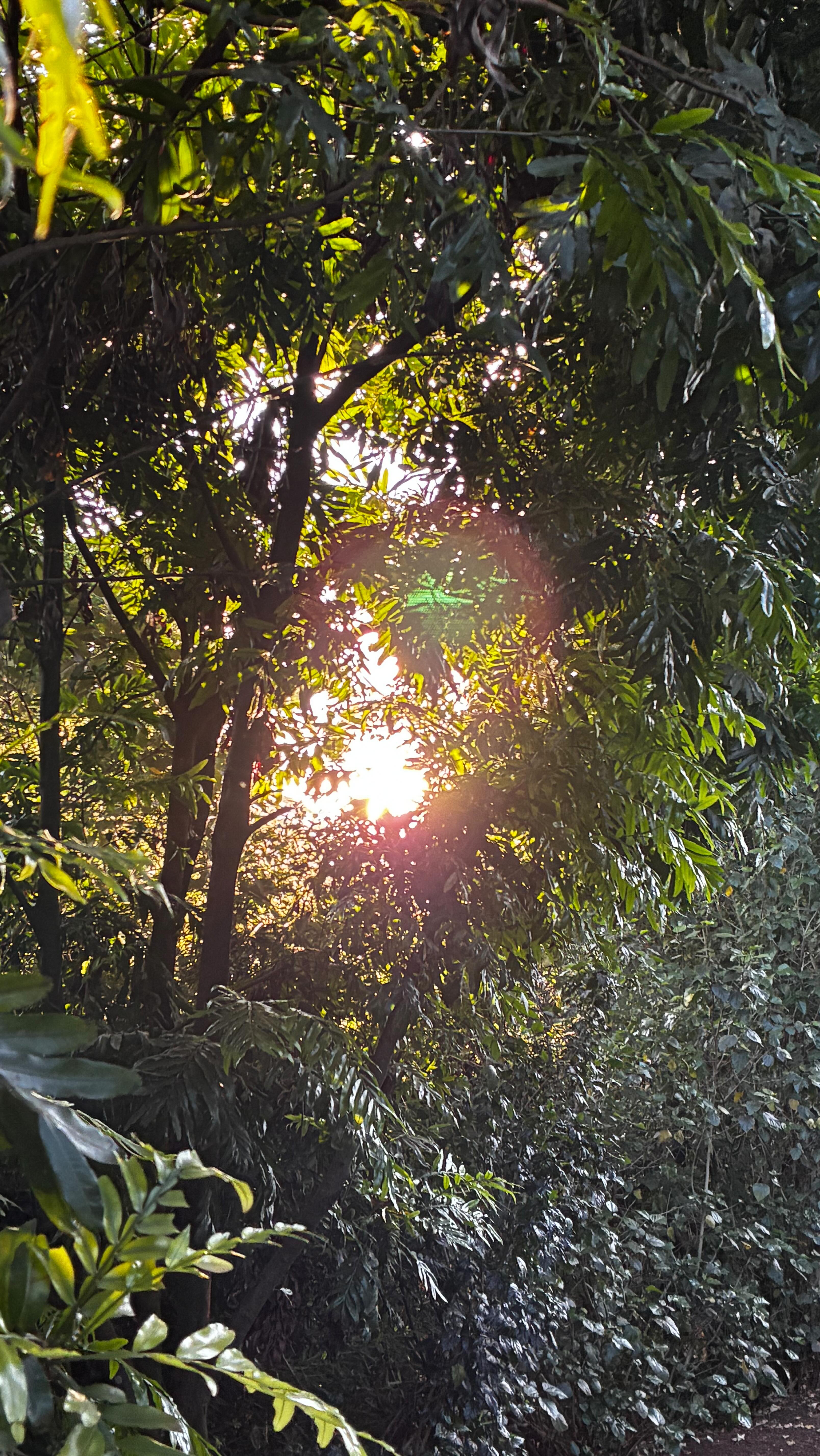 Ending the season with so much gratitude as we wrap up these final back-to-back projects 🙏
This final season called for change, and we listened. We paused, reflected, re-structured, and welcomed a renewed, vibrant energy back into our work. Our small yet mighty team is thriving again!
As we wrap up, we’re stepping into a well-deserved break and will meet you again in the new year, refreshed and inspired 🐝
Deep thanks to everyone who has trusted us and walked alongside our work. Gratitude for change, reflection, harmony, and growth.
✈️ Watch this space, our latest newsletter will be landing in a few days.