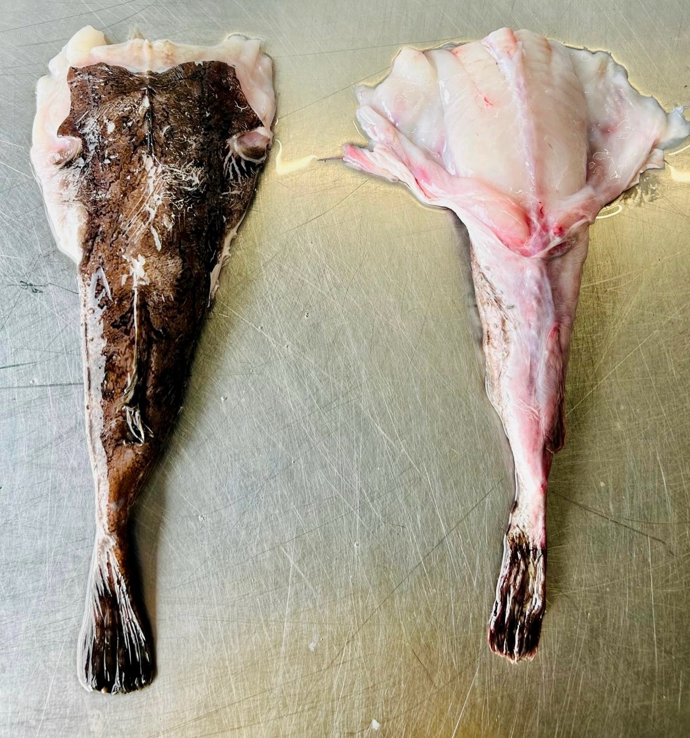 We know you’re uber busy, as we head into the busiest week of the year. But. We really need any pre orders for your Christmas into New Year menus, please.
The markets are closing, boats are out less and our priority is to get your stock secured.
Take five minutes and make that call, talk to your Account Manager or call the office. Let’s tick this off your list, together.
#monkfish #seafoood #chefslife