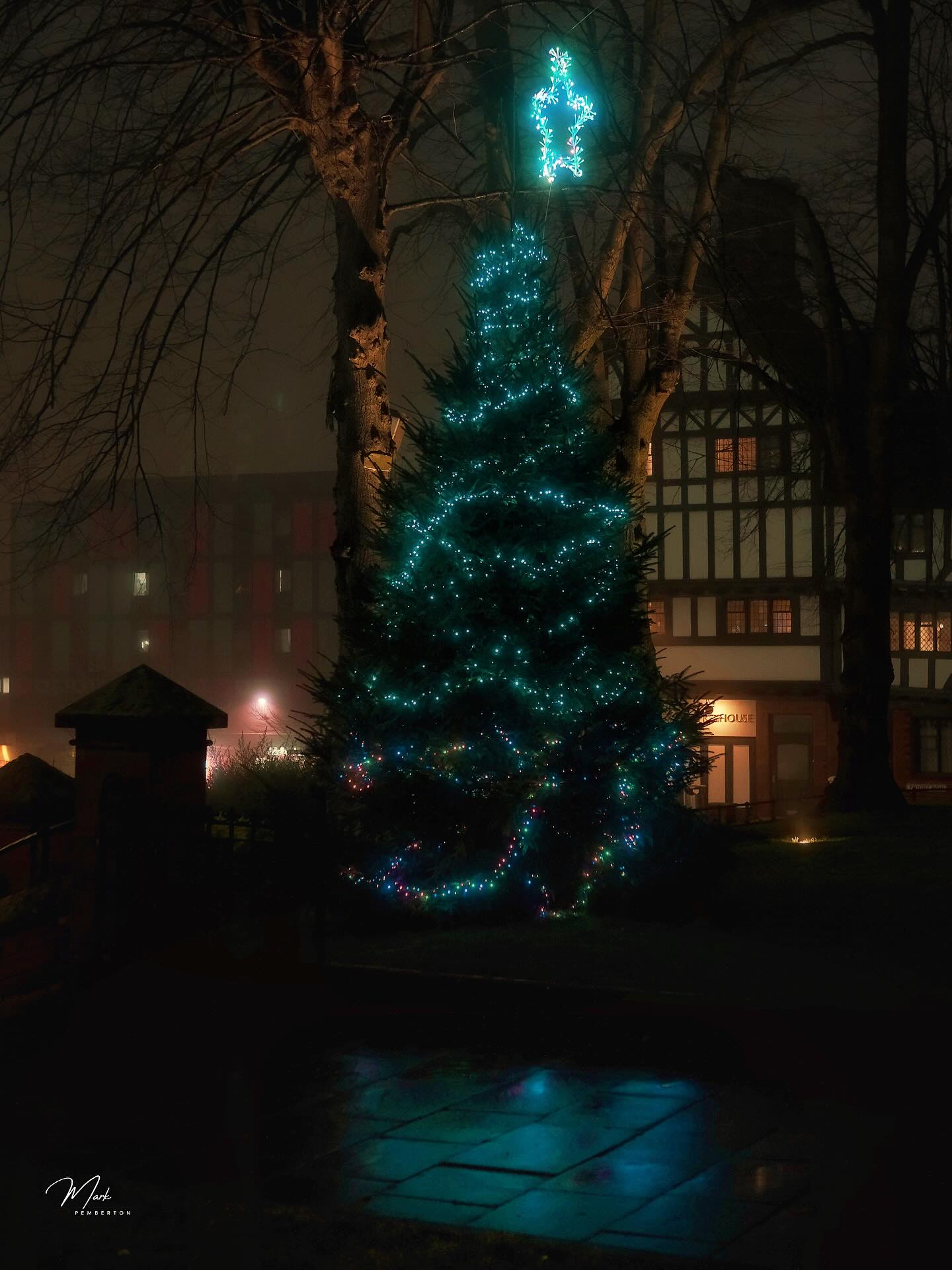 I think the Christmas tree in Holy Trinity’s grounds is my favourite touch of the festive season #visitcoventry #covcitycentre #holytrinitychurchcoventry #bbc_midlands #xmastraditions🎄❤️ #xmastrees