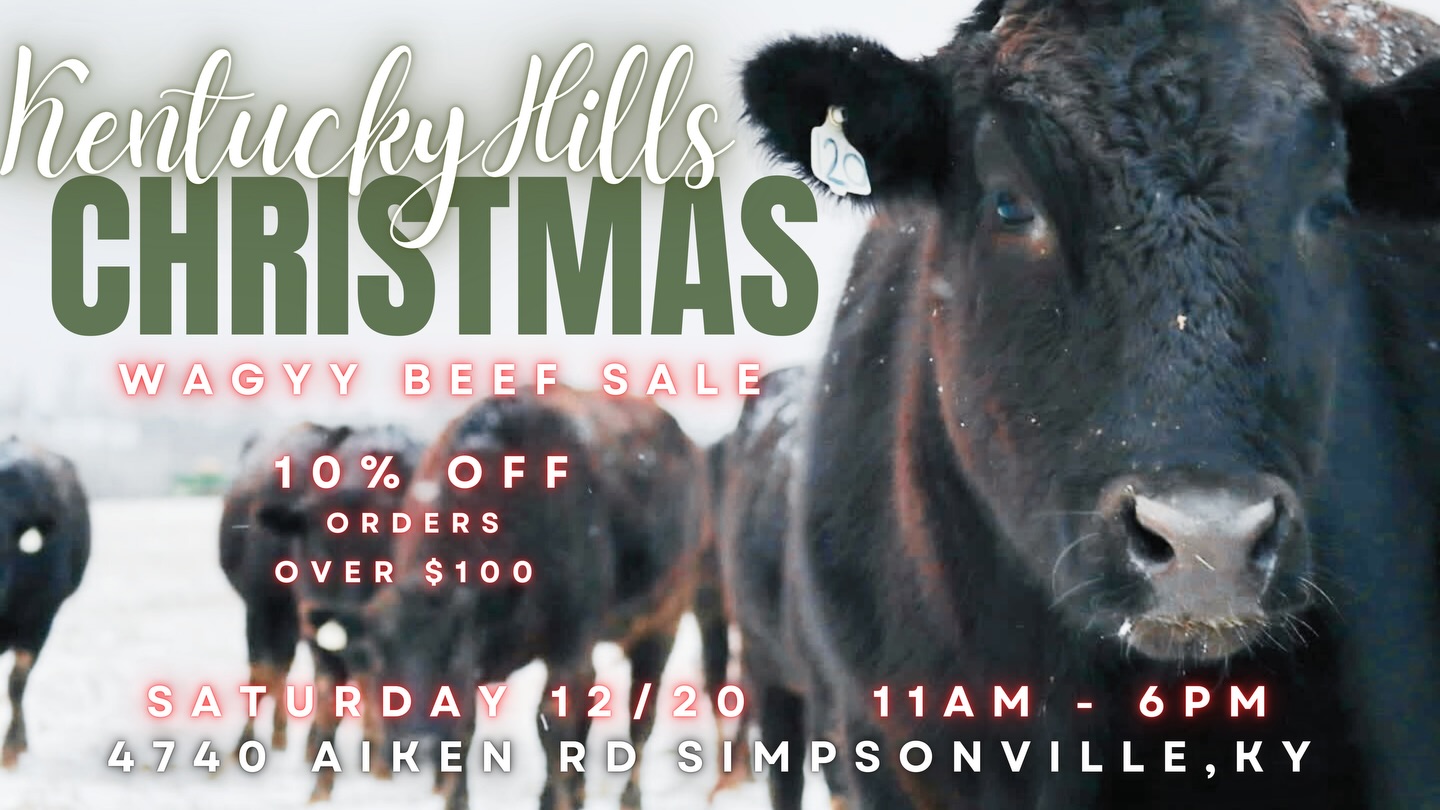 The dairy barn will be open this Saturday from 11am-6pm
This is a chance to pick up something special for your loved ones from our Wagyu Beef and Western Wear storefronts. Cassandra and Chase will have the acoustic guitar out rehearsing for their upcoming show in January, so, you may just hear them singing a tune in the boot store! Stop in to see us for 10% off your order over $100 of Wagyu Beef, Boots & Apparel! #simpsonvilleky #wagyubeef #christmas2025 #happyholidays #kentuckyproud #westernwear #holidaysale #vintage #westernboots #countrymusic #honkytonk #cattlefarm #dairybarn #storefront