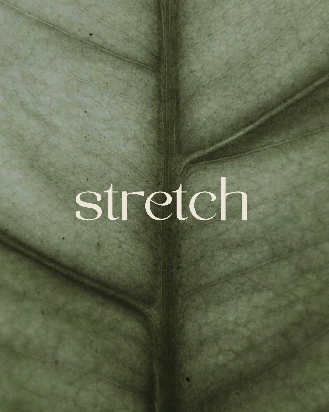 Stretching before exercise prepares your muscles, improves mobility, and reduces the risk of injury. Stretching after helps release tension, support circulation, and kick-start recovery—so your body can rebuild stronger and move better next time.
At Aura Recovery Studio, we’re creating a dedicated stretch & meditation zone for our members—a space to slow down, breathe deeply, and reconnect with your body. Because recovery isn’t just about pushing harder… it’s about giving your body the time and space it needs to heal.