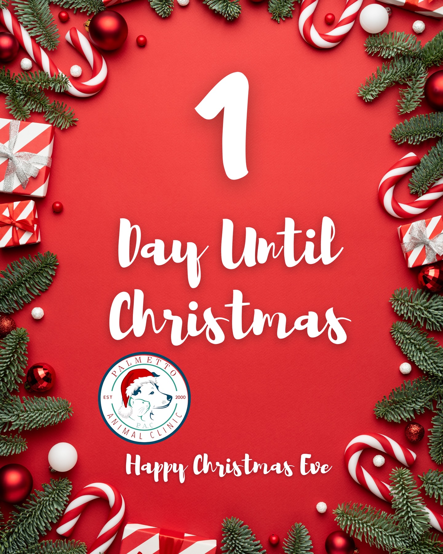 En esta Nochebuena, el equipo de Palmetto Animal Clinic desea agradecerles por confiar en nosotros para el cuidado de sus queridas mascotas 🐾❤️
Que esta noche esté llena de paz, amor y momentos especiales junto a sus seres queridos —incluyendo a los de cuatro patitas 🐶🐱
🎁✨
¡Les deseamos una Feliz Nochebuena y unas Felices Fiestas!