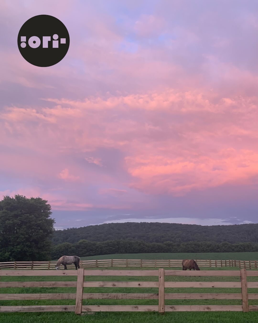 We all know @fivespringsbourbon for its delicious sips, thoughtful packaging, and the way the brand makes bourbon accessible and enjoyable for everyone.
But the story behind the brand—rooted in passion and decades of tradition—runs far deeper than the bottle on your bar cart. @ori_magazine captured that story beautifully.
Big thank you to Founder and Editor of Ori Magazine @kadekrichko for giving us all your incredible gift of storytelling to share what Five Springs is truly all about. 🤲🏼
Link in bio.