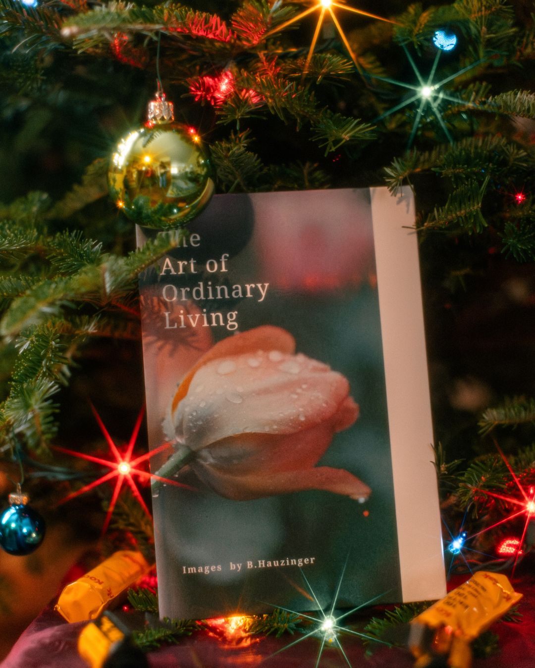 Christmas is only 9 days away (yikes!) — which means yes, there is still time to grab The Art of Ordinary Living before gifts get wrapped and stockings get filled!
If your person loves poetry, art, life, love, and that very real, very satisfying feeling of holding a book in their hands and spending time with it… this is the gift.
Every copy supports small, local art in Vermont. Not a giant warehouse. Not a mass-produced thing that shows up with a click. But something dreamed up, written, designed, packed, and shipped by an actual human.
When you buy this book, you’re supporting creativity, community, and the kind of art that makes life feel a little richer.
You’re helping keep art alive here. And it truly matters.
Link in bio to order your copy of The Art of Ordinary Living before Christmas. Local Pickups ONLY!
xo,
Barbee