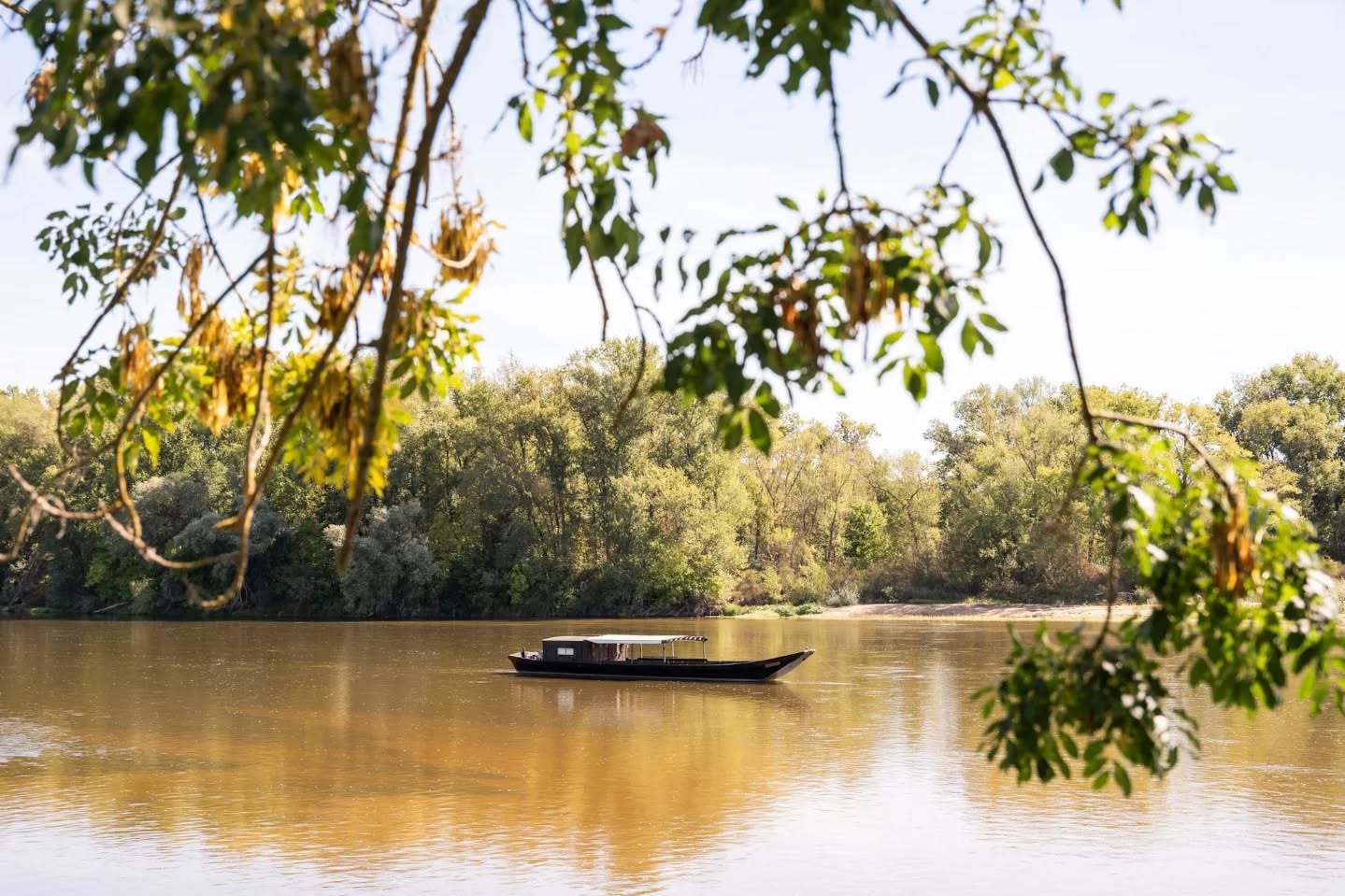 Agir sans forcer : la sagesse du non-agir
Notre époque valorise l’action, la performance, la réponse immédiate. Agir est devenu synonyme d’exister. Pourtant, cette hyper-activité, mentale comme physique, nous éloigne souvent de notre centre. Fatigue chronique, tensions relationnelles, perte de sens témoignent d’un déséquilibre plus profond : nous agissons trop, et souvent contre le mouvement naturel de la vie.
Les sagesses anciennes, qu’elles soient chinoises ou indiennes, proposent une autre voie : celle du non-agir, non comme inertie, mais comme justesse de l’action, enracinée dans l’écoute, la présence et la confiance. Le Su Wen, texte fondateur de la médecine chinoise, et la notion de Śraddhā, pilier de la pensée indienne, nous invitent à revenir à un art de vivre où l’action naît du calme intérieur, comme les rayons d’une roue prennent appui sur un moyeu immobile.
Lire l'article complet 👇
https://www.aucreuxdessens.fr/post/agir-sans-forcer-la-sagesse-du-non-agir-entre-le-su-wen-et-la-śraddhā
