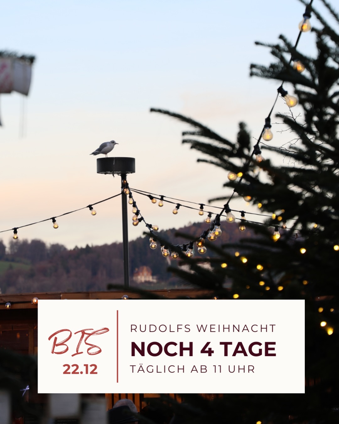✨ Nur noch 4 Tage Rudolfs Weihnacht! ✨
Wir gehen bereits in die letzte Runde – mit stimmungsvoller Musik, feinem Essen, Lichtern und Programm für Gross und Klein.
Hier die Highlights der letzten Tage:
18. Dezember
🎶 80s Classics mit @clumsybearsdj (20:00–23:55 Uhr)
19. Dezember
🛍️ Mini Markt (11:00–17:30 Uhr)
🎩 Walking Act mit @ziegler.shows (ab 19:00 Uhr)
🎧 Best of 90s! mit @djdvice_official (20:00–23:55 Uhr)
20. Dezember
👧 Kinderjurte: „Deine Zeichnung zum Leben erwecken“ mit Lilian Abegg (13:30–17:30 Uhr)
🎤 Konzert: Nadjia & Dave (18:00 Uhr, Pavillon)
🎿 Après-Ski mit @dj_dubi (20:00–23:55 Uhr, Musik Chalet)
21. Dezember
📖 Geschichten & Märchen mit Sibylle Amrein (14:00 / 15:00 / 16:00 Uhr, Kinderjurte)
Ob Afterwork-Drink, Familienausflug oder letzter Weihnachtsbummel – Rudolfs Weihnacht ist der perfekte Ort, um die Adventszeit ausklingen zu lassen.
📍 Inseli Luzern
📅 Noch bis am 22. Dezember
🌐 Das ganze Programm findet ihr auf www.rudolfs.ch
#rudolfsweihnacht #luzern #weihnachtsmarkt