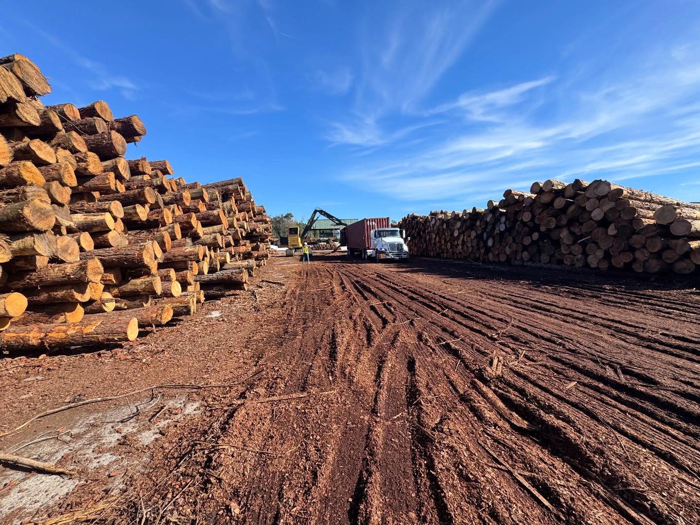 Meldrim Wood Yard🪵
.
The last roll of paper rolled out of IP- Savannah 9/30/25 and flipped the Southeastern forestry world upside down. It’s a tough time in the forestry world but instead of sitting on our hands, we have been working diligently to come up with solutions.
.
Not knowing a reason other than trying to assist a struggling SC market when GP-Georgetown closed its doors - we started exporting out of SC in February of 2025. Hitting all the speed bumps, shop signs, Do not pass go - Do not collect $200. Learning, getting somethings right but really getting a lot wrong. All this, never thinking we’d be in the mess we are now in, in Georgia.
.
Fast forward to October 13th, 2025 when we opened the Meldrim Wood Yard & now being opened for 2 months. We are very blessed to have learned the lessons, refine them and implement a better system to where we are today. It’s been a wild ride and we’re just getting started - extremely blessed to have the folks supporting & supplying us daily/weekly.
.
If you are looking for a SYP or Hardwood outlet, feel free to reach out for specs & pricing. Open 5 days a week 7am-5pm🌲🪵