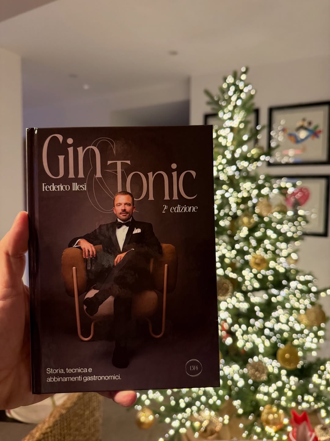 Gin & Tonic un viaggio completo dalla storia alla preparazione di un gin tonic perfetto fino ad arrivare agli abbinamenti gastronomici. Lo trovate su www.mrgintonic.it #gin #gintonic #mrgintonic #libri