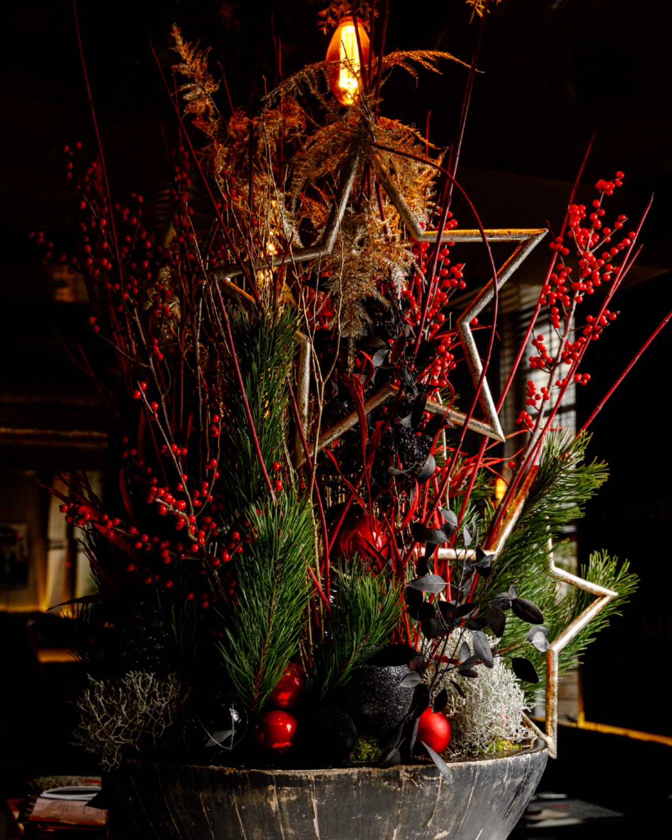 Die Weihnachtszeit zeigt sich im Ludwigs nicht laut, sondern mit feinem Gespür für Details. Natürliches Grün, warme Lichtpunkte und ausgewählte Akzente schaffen eine ruhige, festliche Atmosphäre – zurückhaltend, stimmungsvoll und ganz im Sinne unseres Hauses.
Die floralen Arrangements stammen von @thomas.seith.flowers und verleihen dem Raum eine festliche Note – harmonisch gesetzt und sorgfältig abgestimmt.
#ludwigs #weihnachtsdeko #winterlicheatmosphäre #festlichezeit #50jahreludwigs