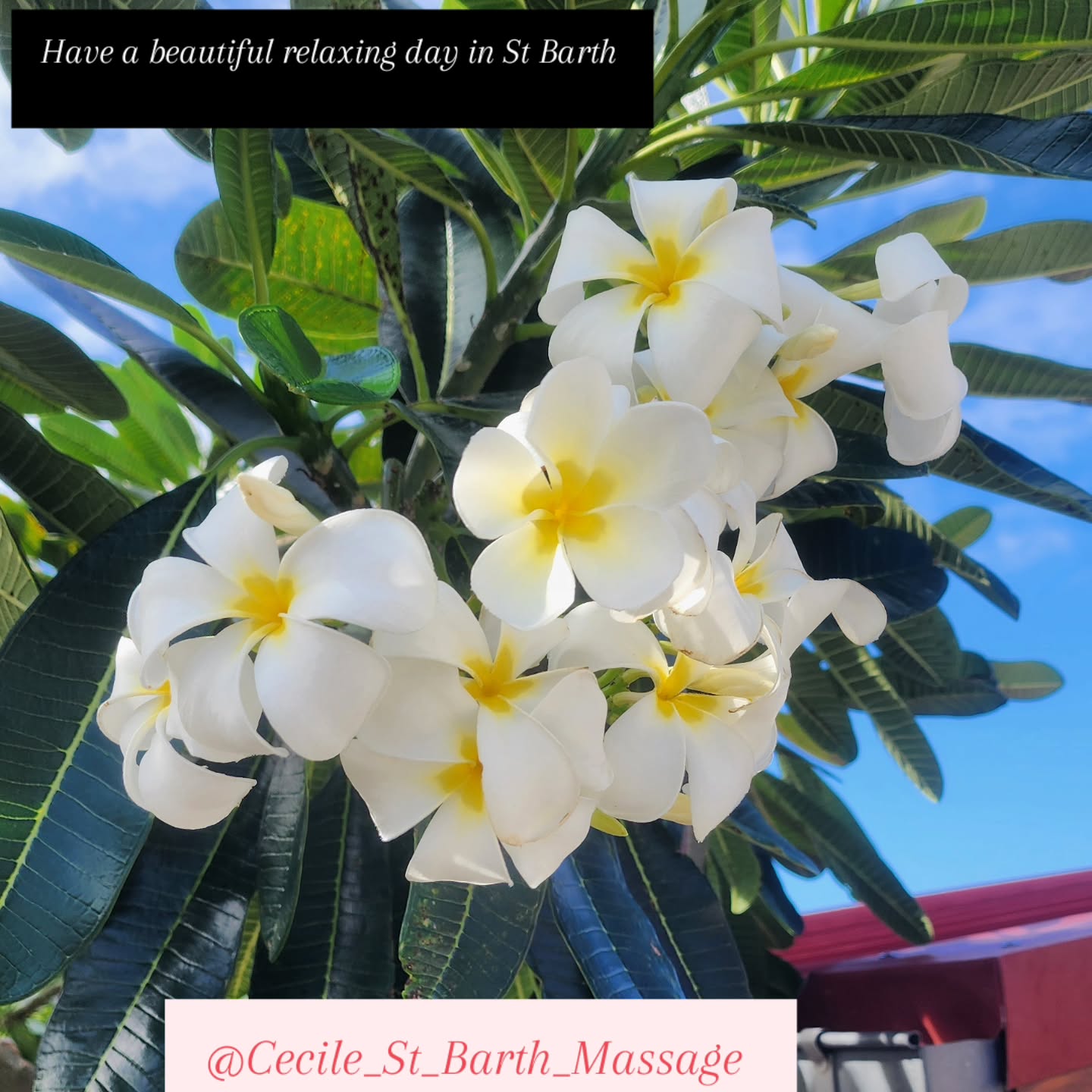 Book your massage by wattsapp +590 690 406:701
#stbartsmassage #stbarthélemy #stbarthyachtmassage #yachtsmassage #yachtiesworld #stbarthvillas #sbh #stbarthvillasmassage #yachtcrew #stbartsyachts #christmasinstbarts #Cecile_St_Barth_Massage