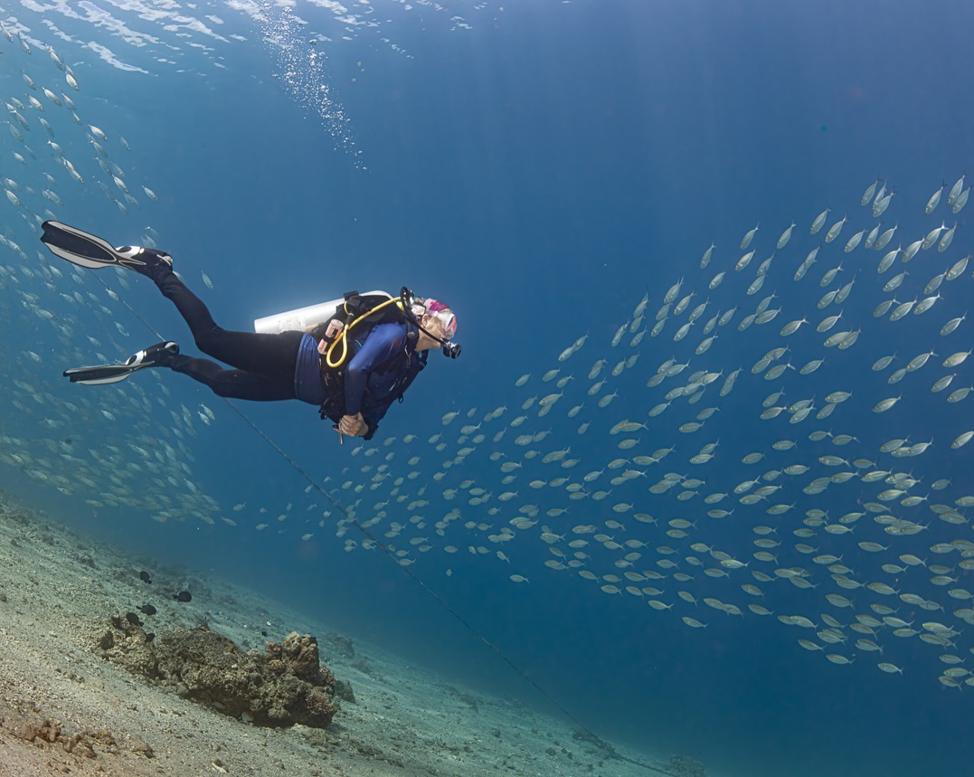 ๐๐ก๐ฒ ๐๐ ๐๐๐๐ฉ ๐๐จ๐ฆ๐ข๐ง๐ ๐๐๐๐ค
Every now and then, we lift our eyes from the sand and the tiny crittersโฆ and the reef gives us something completely different. Spot X, only a few fin kicks from shore, often fills with shimmering schools of fish sweeping through the shallows.
Thereโs something magical about floating still beneath the surface while hundreds of silvery bodies drift past โ each one catching the sun in its own way, each one part of a larger, flowing rhythm. Itโs a reminder that the ocean isnโt just about the details. Sometimes itโs about the scale, the movement, the feeling of being part of something bigger than yourself.
We come back to places like this because they remind us why we dive at all โ not just for the critters, but for the calm, the wonder, and the moments that stop you mid-breath.
๐ธ John Warmington
Message or visit our webpage for more details at:
๐๐๐.๐ฐ๐ฟ๐ถ๐๐๐ฒ๐ฟ๐๐ฝ๐ผ๐๐๐ฒ๐ฟ.๐ฐ๐ผ๐บ
Why not relax and spend a few days away โ dive and stay at Karma Waters Villa
๐ต๐๐๐ฝ๐://๐ฎ๐ถ๐ฟ๐ฏ๐ป๐ฏ.๐ฐ๐ผ๐บ/๐ต/๐ธ๐ฎ๐ฟ๐บ๐ฎ๐๐ฎ๐๐ฒ๐ฟ๐
#UnderwaterPhotography #VanuatuMoments #DiveVanuatu #KarmaWatersVanuatu #ReefCritters