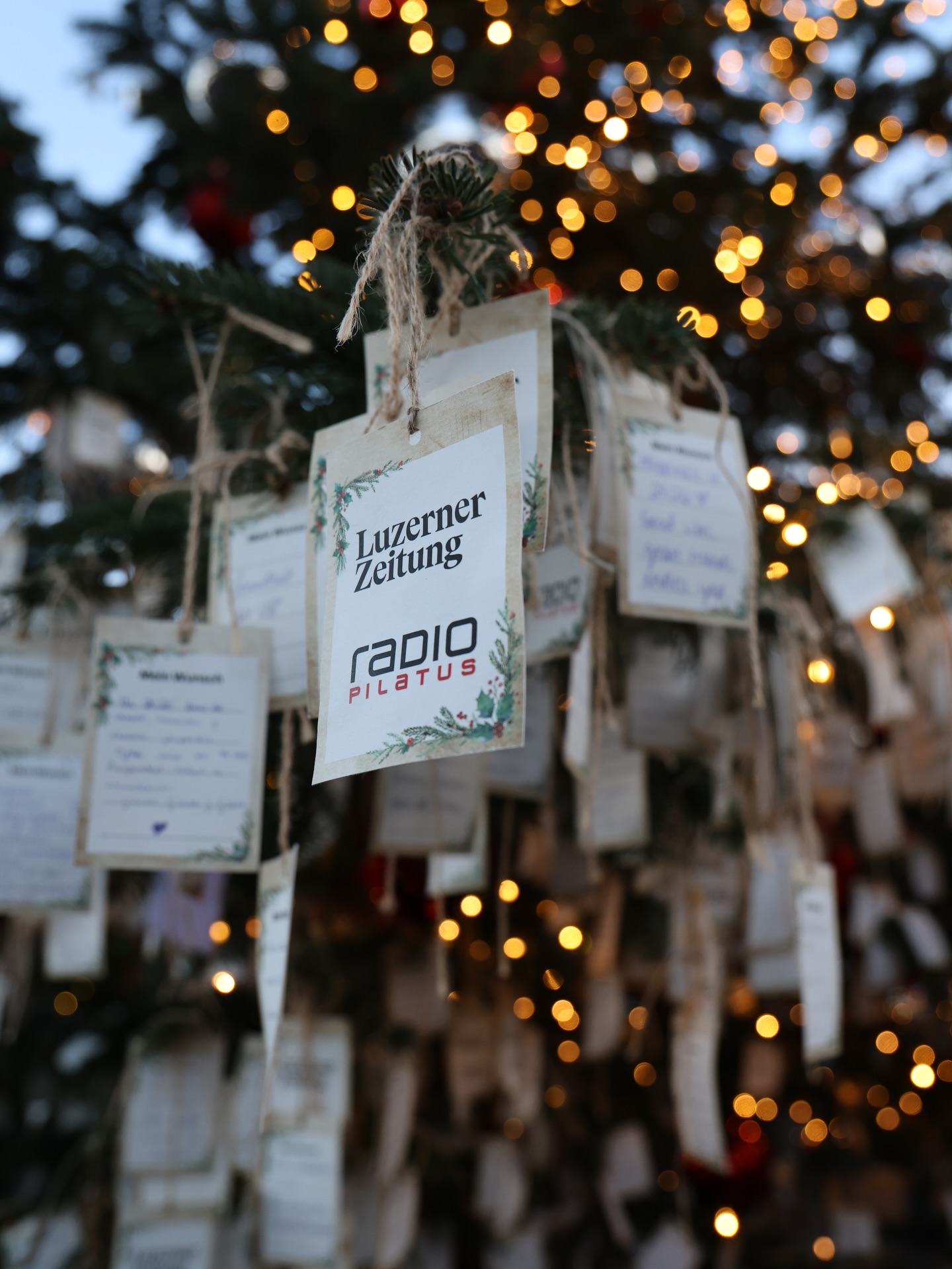 🎄 So viele Wünsche, so viel Herz.
Wir sind begeistert und berührt von den unzähligen Wünschen, die bereits an unserem Wunschbaum hängen. 💫
Gemeinsam mit der @luzernerzeitung.ch haben wir einen Ort geschaffen, der Raum gibt – Raum für Gedanken, Träume und Herzenswünsche. Es ist wunderbar zu sehen, wie viele Menschen diese Gelegenheit nutzen, ihre Wünsche mit uns zu teilen. ❤️
📍 Wunschbaum bei Rudolfs Weihnacht | Inseli Luzern
📅 Noch bis am 22. Dezember
#rudolfsweihnacht #wunschbaum #luzern