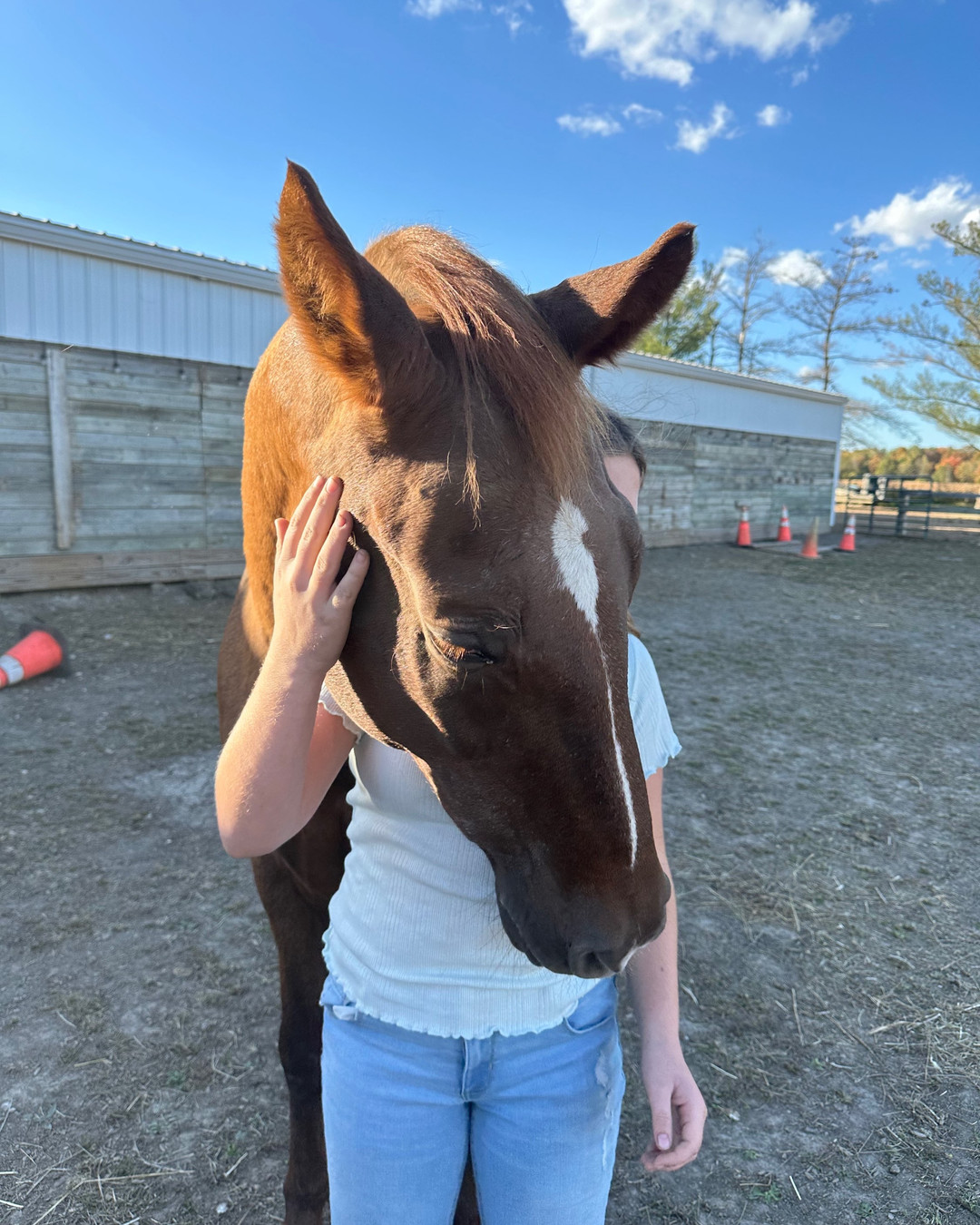 Groundwork spotlight: 3 gentle drills that teach communication, boundaries, and calm at our sanctuary. 1) Circle & Lead — builds clear nonverbal cues and respectful space. 2) Breath-Sync Pause — slows the nervous system and teaches co-regulation. 3) Station Anchors — short guided tasks that strengthen focus, confidence, and predictable boundaries. Small groups, experienced facilitators, and rescued horses create a safe, supportive setting for teens navigating anxiety, ADHD, sensory needs, or social challenges. Curious how these non-riding sessions support emotional growth and friendship skills? Link in bio to learn more and join us in Northwest Ohio. What question do you have about our Junior Horsemanship drills?