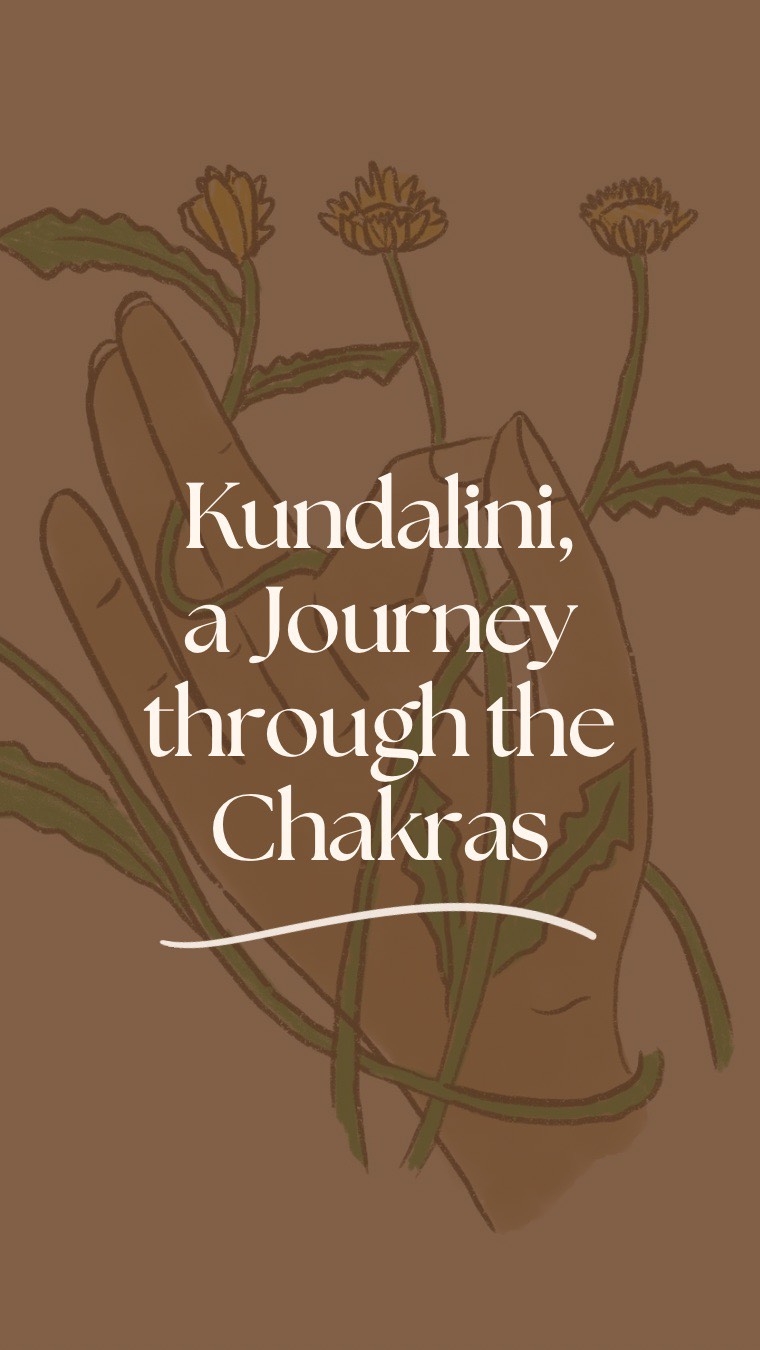 2025 has felt like a year of shedding.
A slow, steady release.
The year of the Snake, a 9 year in numerology symbolising completion and letting go. I don’t claim to know much about numerology, but I’ve felt the energy of things coming full circle.
This year I simplified. I learned to trust my inner strength. I let go of a lot. Old wounds and stories, expectations, even a whole heap of physical belongings as I prepare to move home in the New Year.
There’s something powerful about travelling lighter.
It creates spaciousness in our lives.
And in that space, I was able to create new things. New opportunities, connections and ideas. I felt a renewal of energy.
Energy that comes not from pushing but from inspiration.
For a long time, my creative practice fell to the side while I immersed myself in learning and teaching yoga. I carried a fear around making art and I felt stuck.
But over the past few months, something has been loosening. The spark is returning. And I haven’t felt that in years.
Which brings me to what’s next.
Over the coming 7 weeks, I’m inviting you into a journey through the chakras as a way of exploring presence, creativity and self-inquiry.
Each week we’ll sit with one energy centre:
the colours, the emotions, the patterns,
and how breath, movement and simple artistic practices
can help us understand where we’re blocked,
what wants attention,
and what is ready to unfold.
This is a weaving-together of everything I love:
yoga, art, insight, softness, and deep listening.
A new cycle begins.
And I’m so grateful to be stepping into it with you!