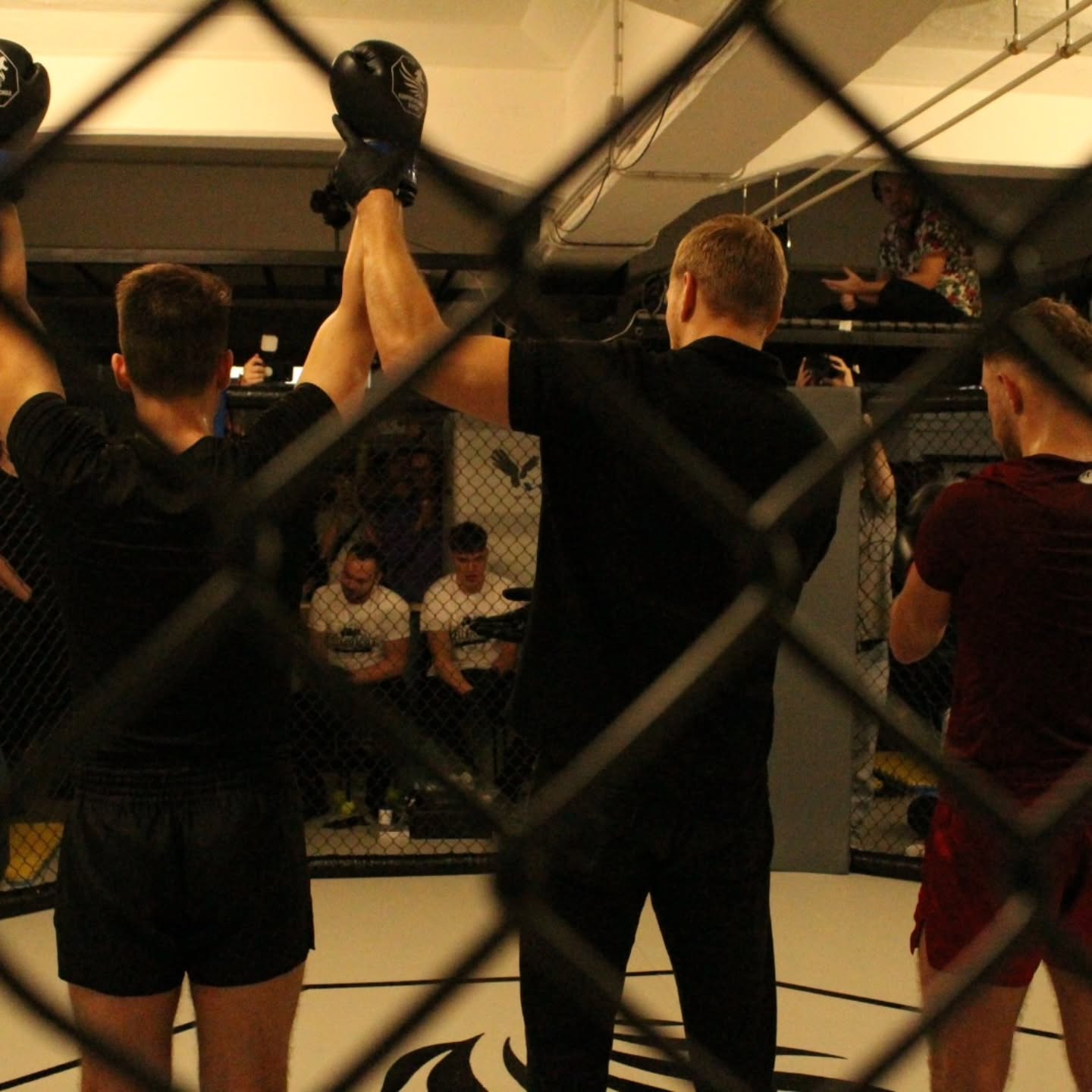 Eindrücke von KellerKeile Volume 2.
📸@_emirjana
Interesse an solchen coolen Bildern? Dann melde dich an und schreib deine Geschichte👇
https://www.kellerkeile.de/
#mma #k1 #kickboxing #mixedmartialarts #fightevent #fighting #picture #sport #fotografie