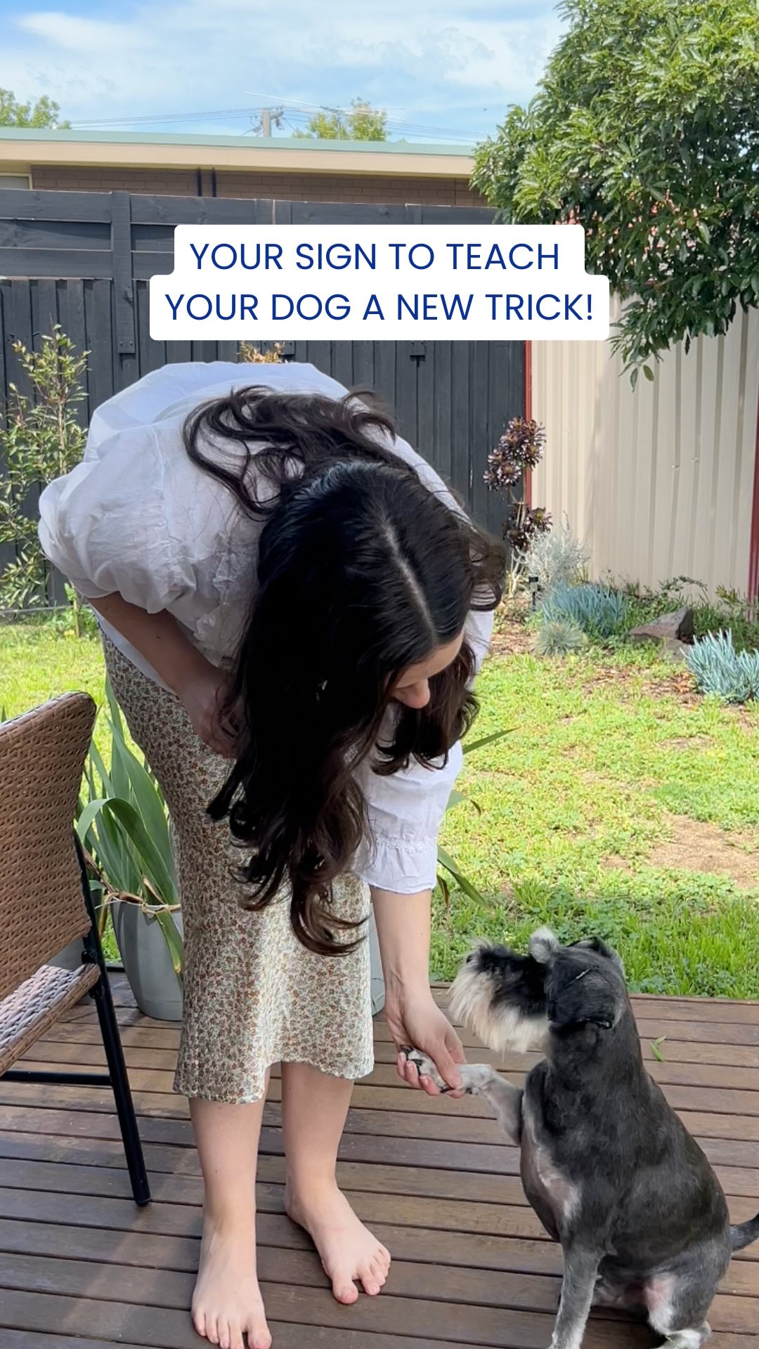 New year, new tricks đŸ
Because learning deserves a reward⊠especially when itâs Churu đ
Treat time just got better, shop Inaba today.
#Churu #InabaChuru #DogLife #DogTrainingTips