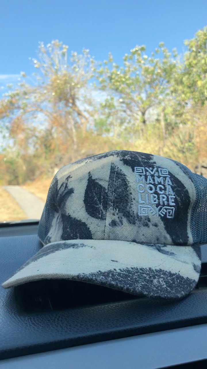 Aunque todo parece un producto más, una venta más, está todo creado de principio a fin por manos y gente linda, artesanos, empresas independientes, visionados y diseñados por mi (Talia), soñando cómo hacer para que se visibilice más nuestra coquita desde su lado luminoso. La venta de estos productos nos ayudan a poder seguir presentando nuestros documental de manera gratuita, poder seguir visionado más proyectos y estrategias que ayuden a desmitificar a mama coca. Seguimos siendo un proyecto independiente y que se autofinancia y auto genera en un círculo virtuoso con nuestras propias creaciones. Gracias a ti que nos apoyas, que te tomas el tiempo de leernos y creer que la magia es posible desde pequeños a grandes actos. Gorras con estampado botánico, gorras teñidas con hojas de coca, polos playeras 100% Algodón peruano y serigrafíados @tochuga, tejidos de mama coca por comunidades de Cusco @pallaycusco grabados de @asan.belen, coca powers por @kaia_tepoztlan y @kaiaecotienda, postales pintadas por Gae y Uriel, postales ilustración botánica @mercadella @opuntia.mx