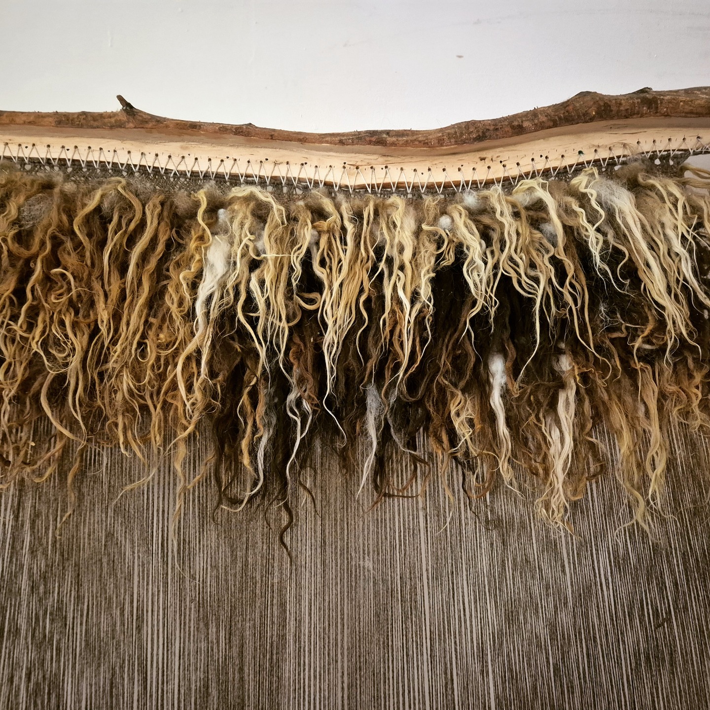 With three identical vararfeldir to make for this commission, I have had to be very organised with the fleeces! Every fleece varies in colour and texture, even within itself, and some are too matted to be used for vararfeldir. I've divided all my usable fleeces into three colour groups to ensure colour and texture consistency across all three cloaks.
#weaver #weaving #weaversofinstagram #fibreart #fibreartist #slowcraft #traditionalcraft #scottishwool #sustainablecraft #wovenrug #handwovenrug #vararfeldr #vikingcloak #vikingcraft