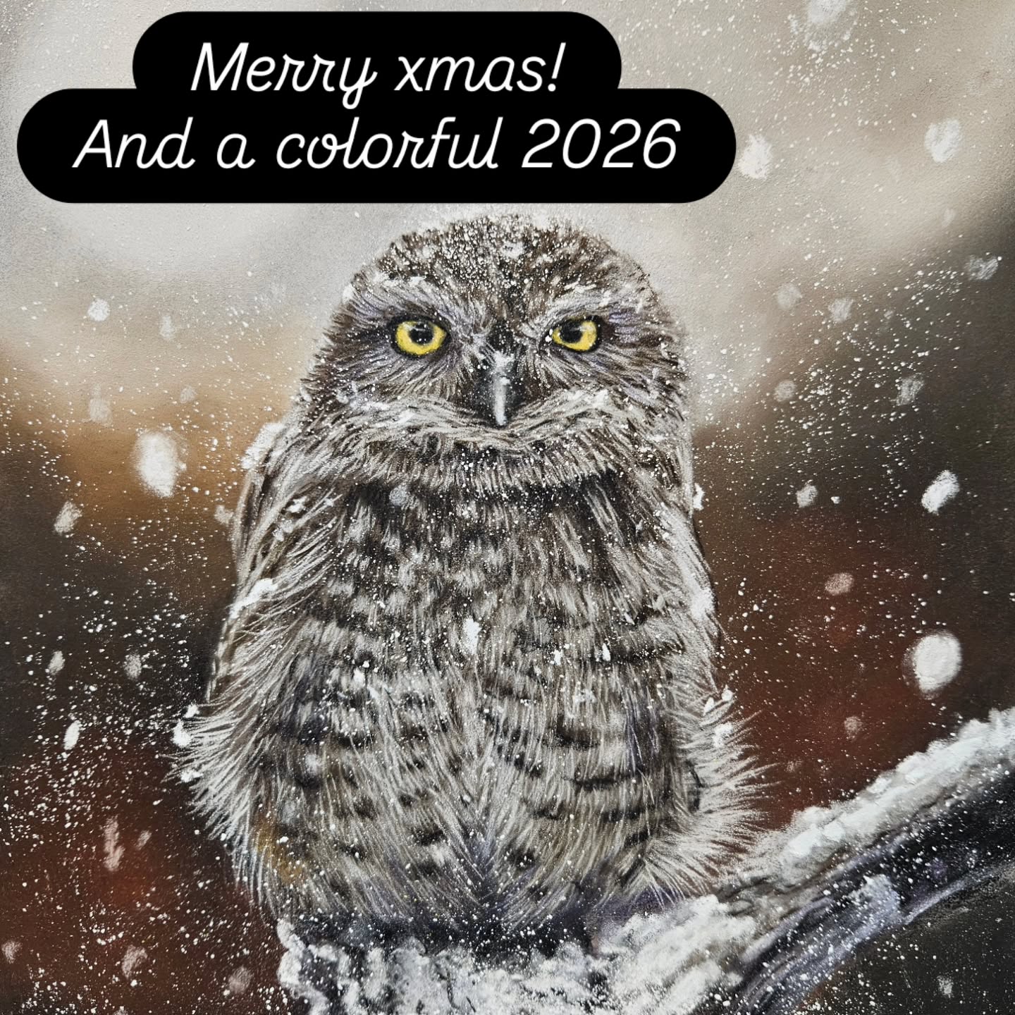 Met dank aan @petervanglabbeekfotografie voor de referentiefoto. Iedereen fijne feestdagen!! En een kleurrijk 2026
#softpastel #pastelmat #pastellumlive #tekening #realisme #les #2026 #kerstkaart #kerst