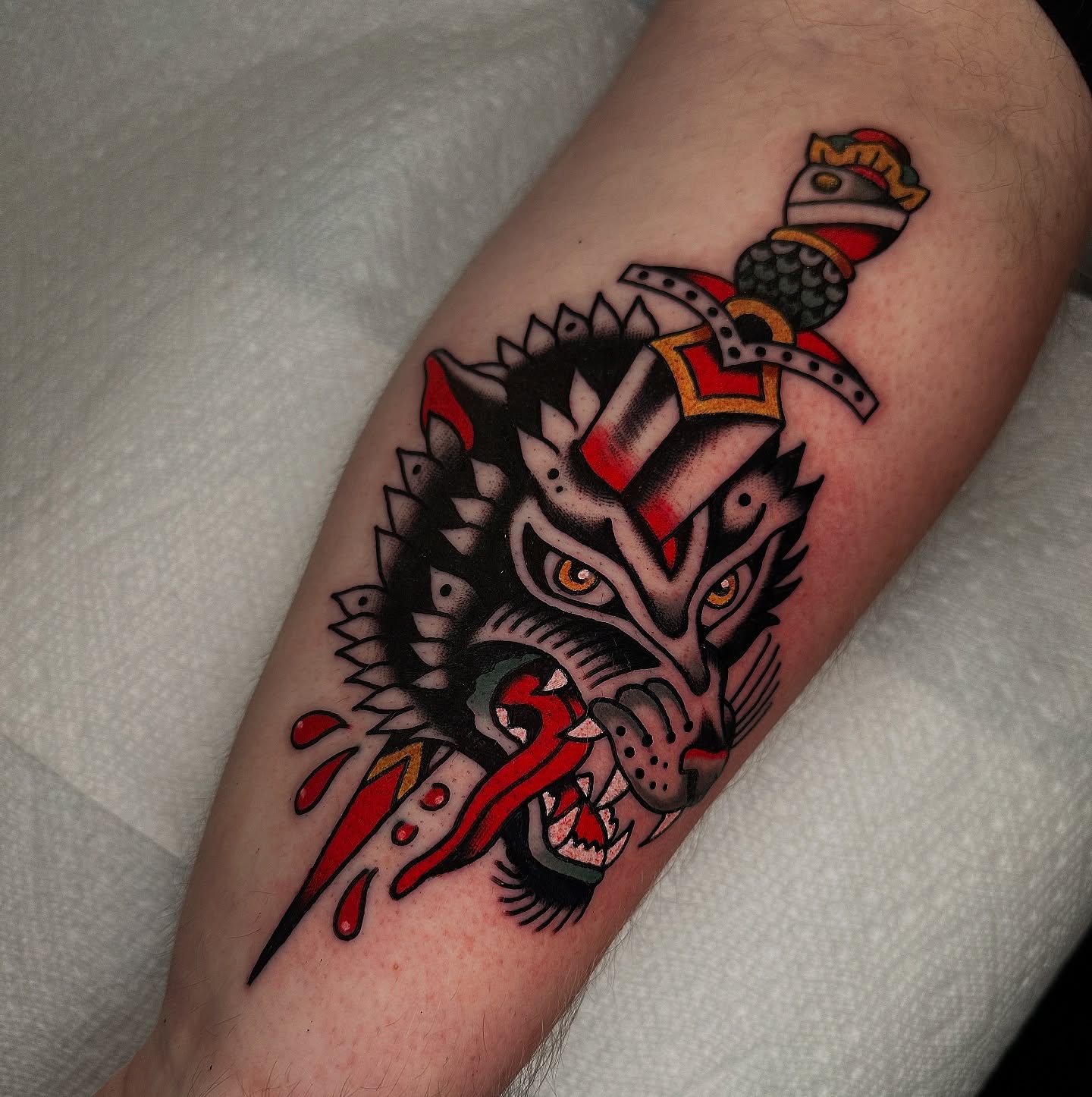 Wolf and Dagger, always a winning combo. Done @travelertattoo_asheville @topmarktattoo #tattoo #tradtattoo #traditionaltattoo #asheville #ashevilletattoo #denvertattoo