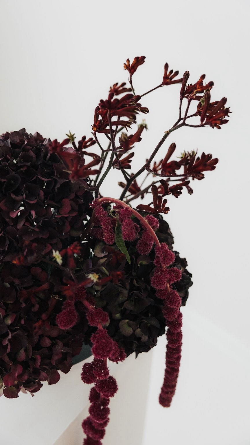 Ich liebe Skandinavien so sehr! Und das macht auch etwas damit, wie ich Hochzeiten gestalte.
Ich liebe es wie viel Bedeutung die Menschen in Skandinavien den kleinen Dingen geben. Das Wort Achtsamkeit wird hier wirklich gelebt. Dem eigenen Zuhause und den kleinen Dingen so viel Liebe zu schenken, sich bewusst Zeit für kleine Pausen und die liebsten Menschen zu nehmen und die kleinen Dinge zu schätzen - das ist für mich skandinavisches Lebensgefühl.
Zudem assoziiere ich nichts so sehr mit diesen Ländern wie die Liebe zu Ästhetik & Design.
All das versuche ich immer ganz bewusst in vollen Zügen aufzusaugen und in meine Hochzeiten zu bringen. Nicht irgendwelche Dekoration irgendwo hinzustellen. Sondern den kleinen Details ganz viel Liebe und Achtsamkeit zu schenken. Kleine Details einzufügen wie die Blumen, die euch an eure Kindheit in Omas Garten erinnern. Oder Farbkombinationen, die Ruhe und Wärme ausstrahlen, sodass eure Gäste sich direkt wohlfühlen. Die Farben der Kerzen bewusst auswählen. Und eine Hochzeitsfloristik, die ihr fühlt.
Das sind die kleinen Details, denen wir mehr Aufmerksamkeit schenken dürfen und die aus irgendeiner Dekoration eure Hochzeitsdekoration machen ✨
Und ich glaube das ist auch der Grund, warum ich mich für meinen Weg entschieden habe. Ich möchte jedes Paar mit ganz viel Achtsamkeit begleiten können und jeder Hochzeit die Liebe und Aufmerksamkeit widmen, die sie verdient hat.
Titelbild: @keaulrich.fotografie
Hochzeitsfloristik
Hochzeitsdeko
Fullservice Hochzeitsdekoration